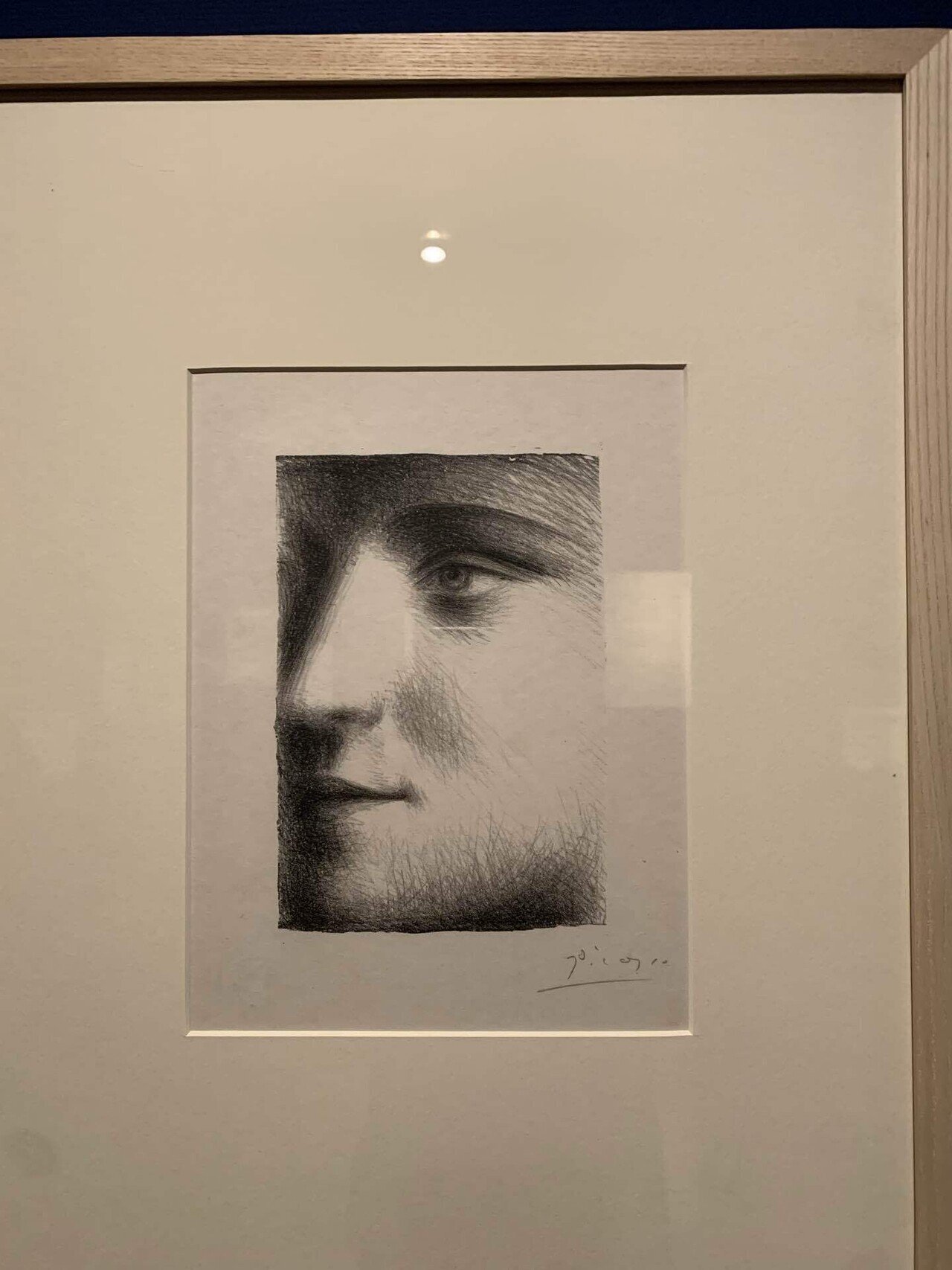 パブロ・ピカソ登場 !! ”の巻｜なすにきび