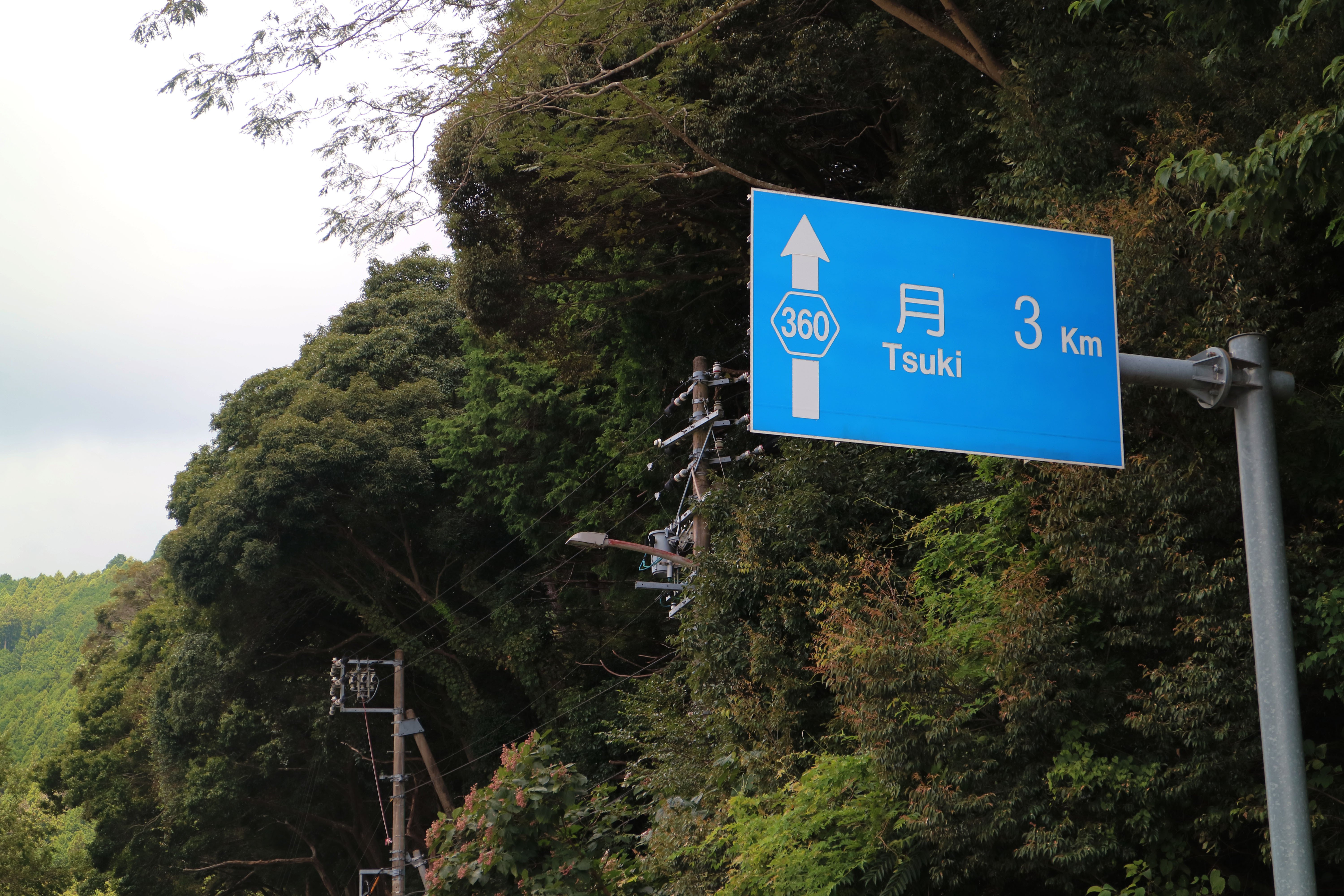 matsu様 ご確認用ページです。 matsukiyo3Dスマートマスク | マツキヨココカラオンラインストア