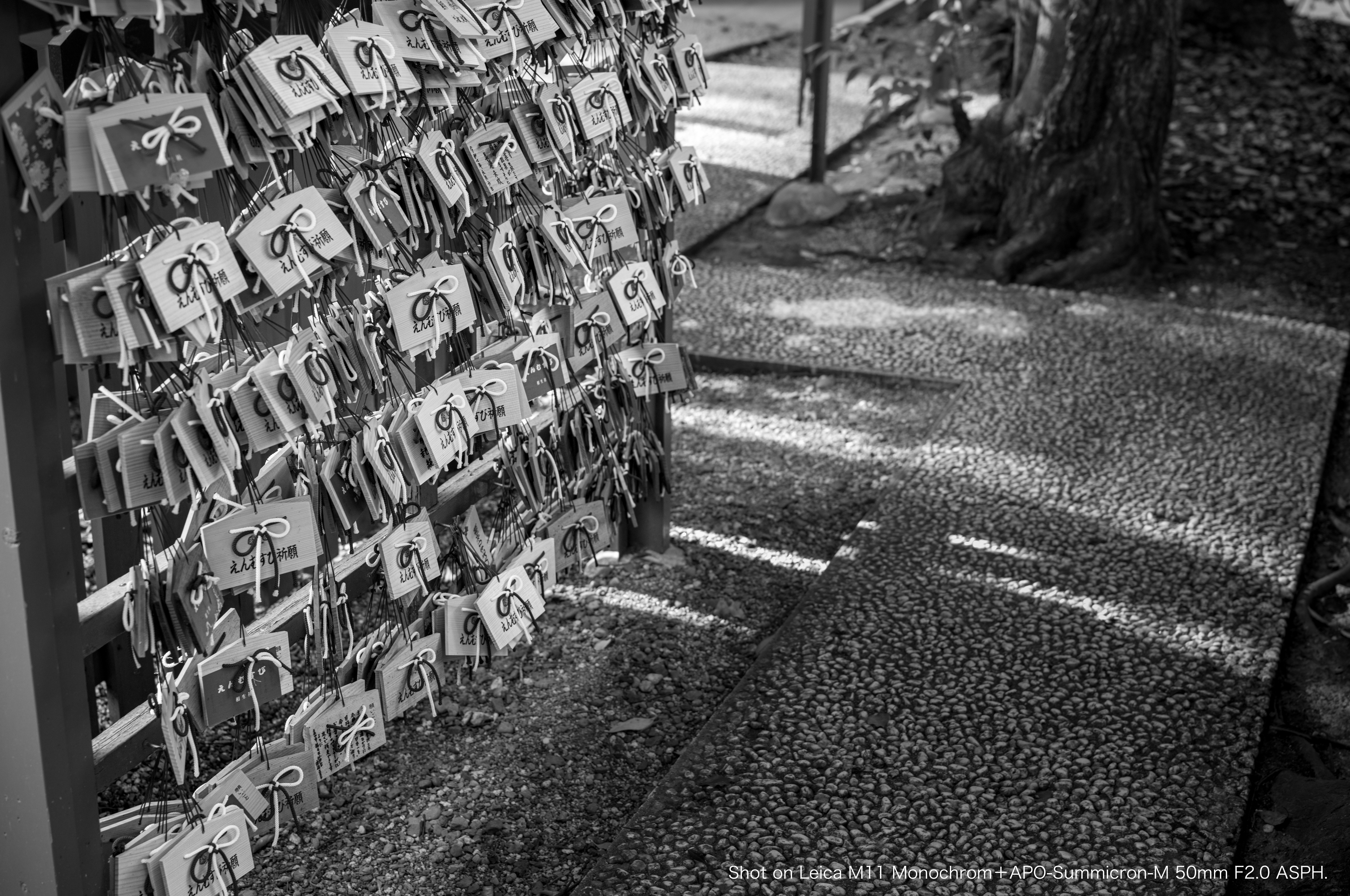 Shot on Leica #03｜モノクロしか撮れないカメラ｜みかづき