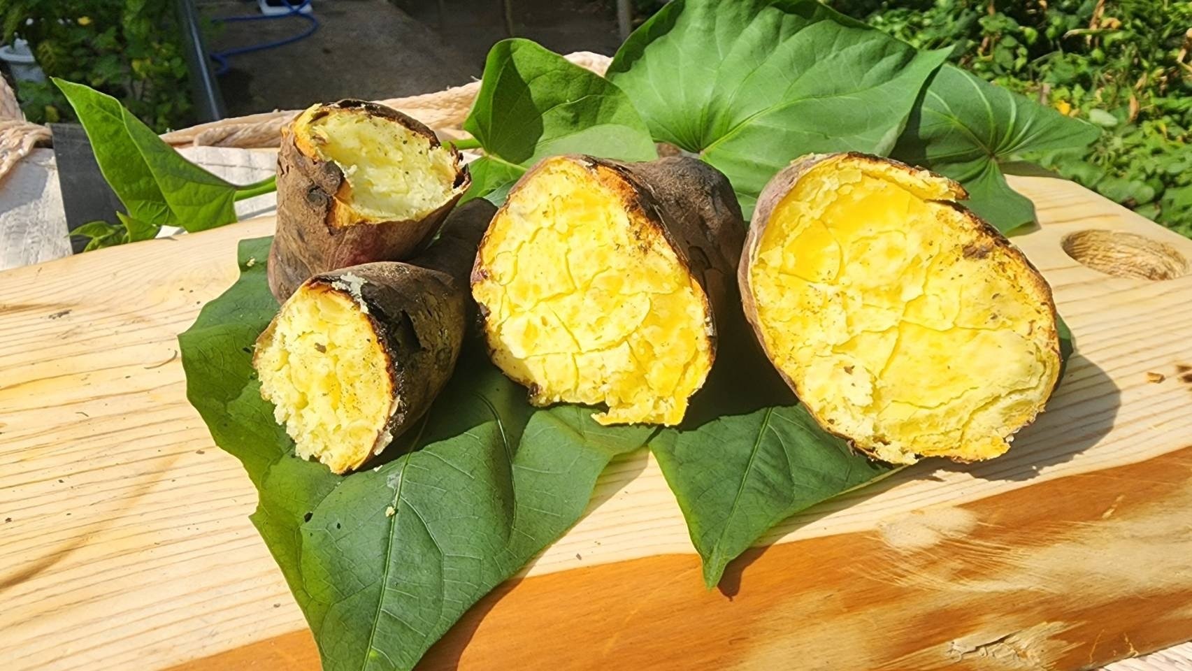 石焼き芋機、稼働！｜川崎市黒川青少年野外活動センター