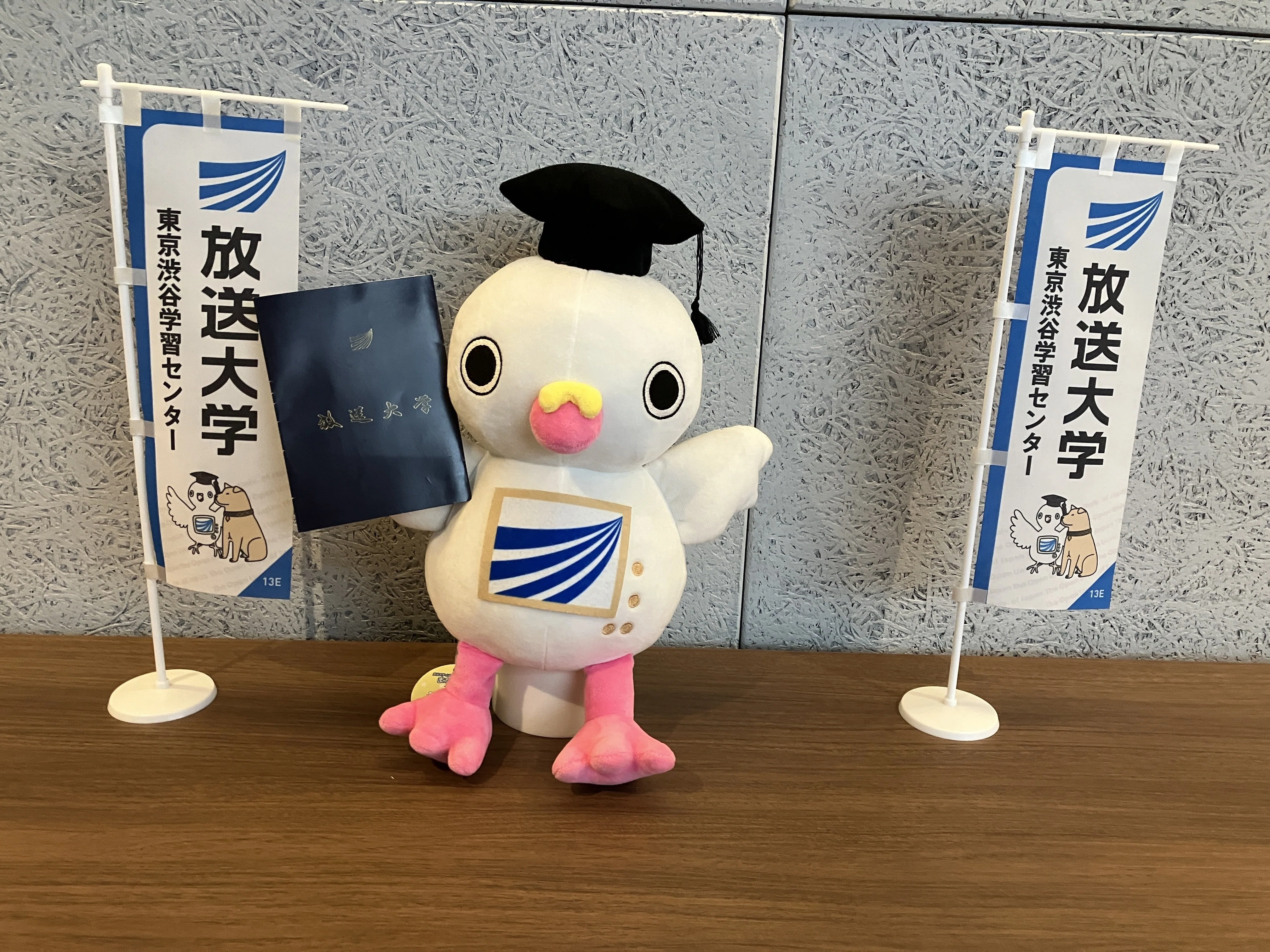 放送大学・心理と教育学科を卒業しました｜おがたちえ＠HSP漫画家
