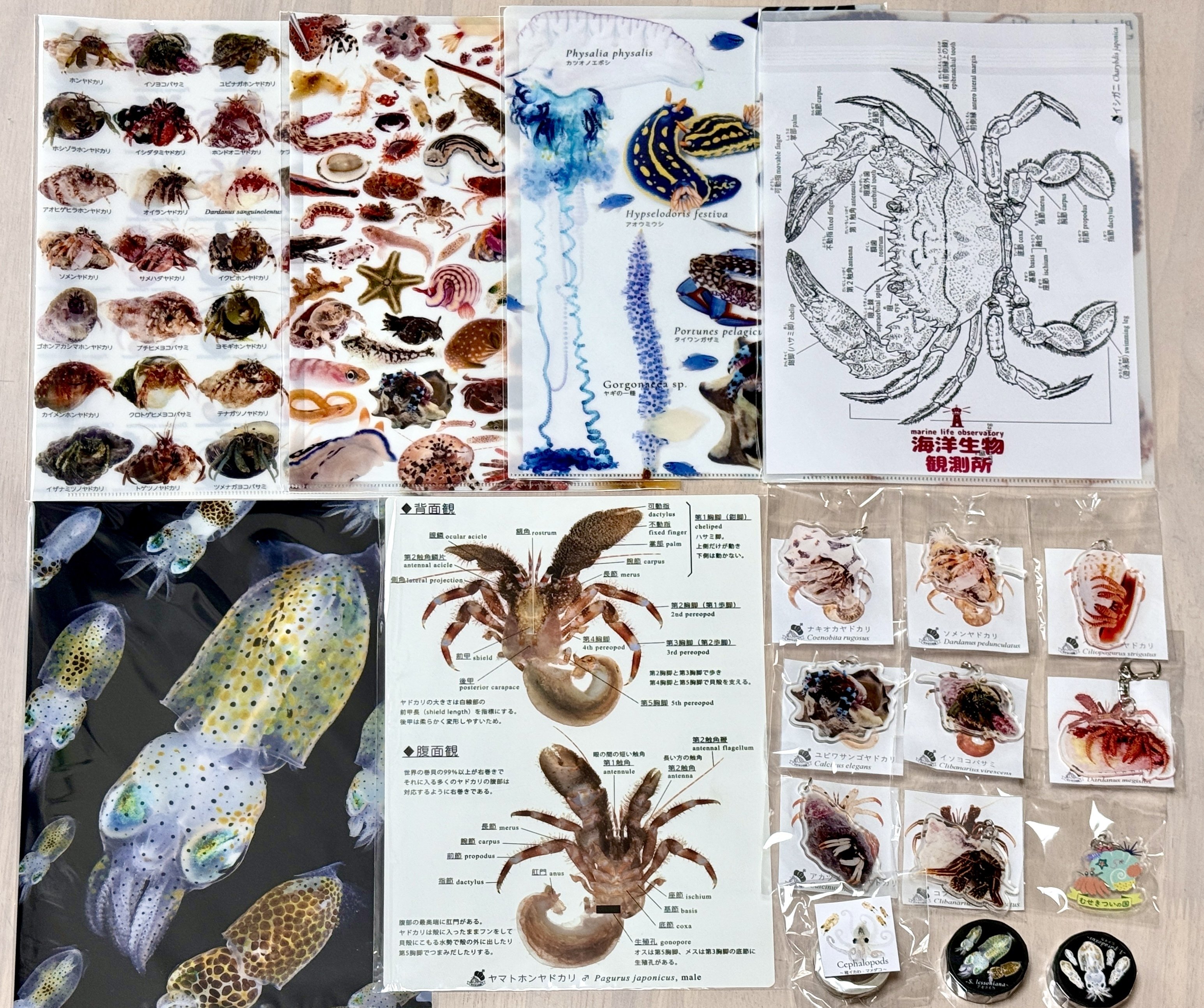 海産無脊椎動物多様性学 100年の歴史とフロンティア ヨドバシ.com - 海産無脊椎動物多様性学―100年の歴史と