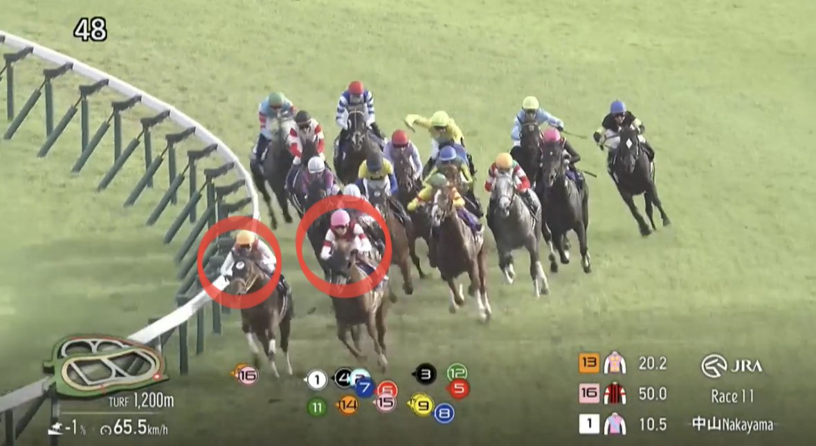 中央競馬厳選究極予想 中央競馬完全予想 | ユウシュンプロダクションの全レース買い目提供