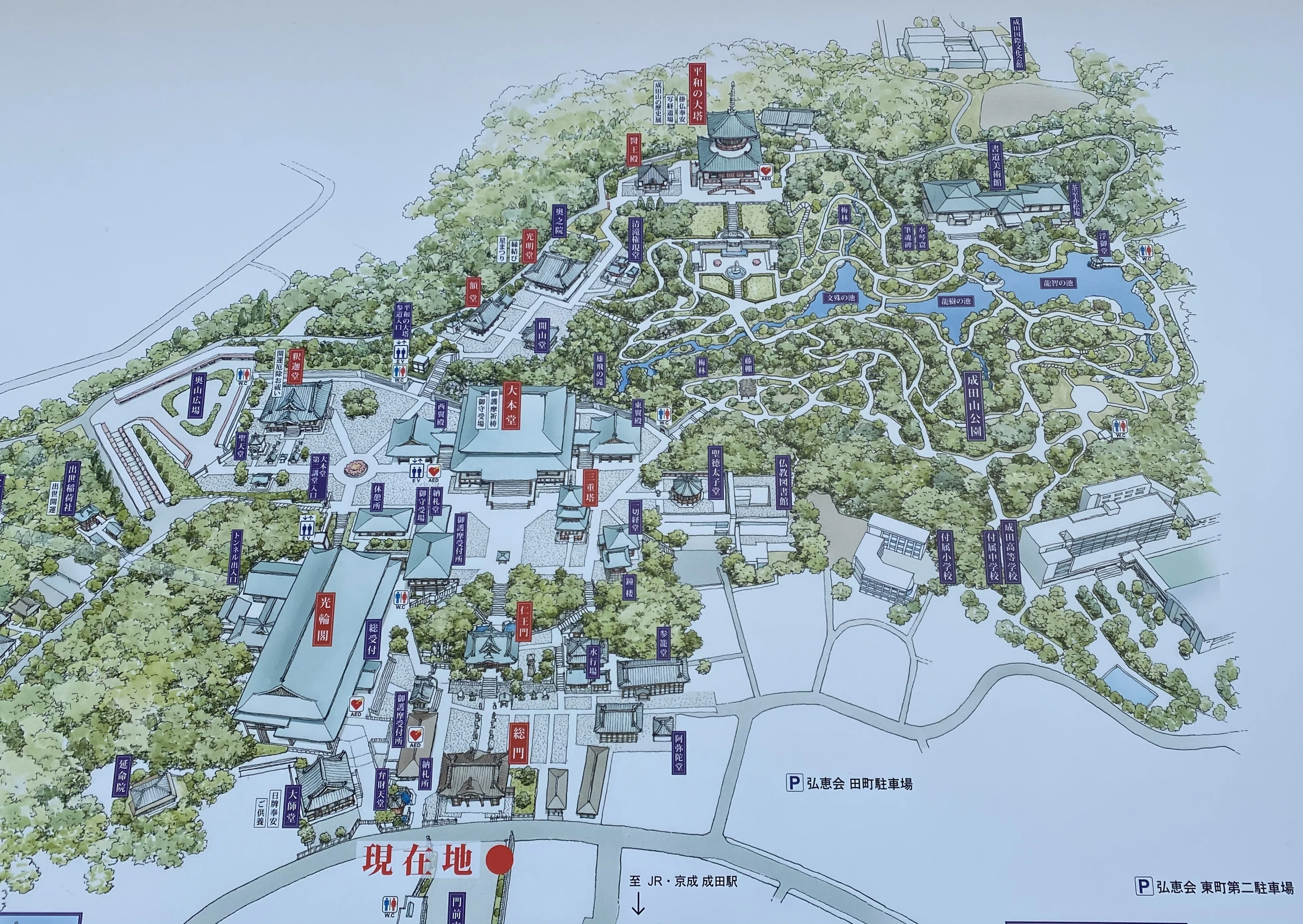 成田山新勝寺と不動明王｜歴史に見る系譜と護摩の炎｜Rico｜神仏巡礼