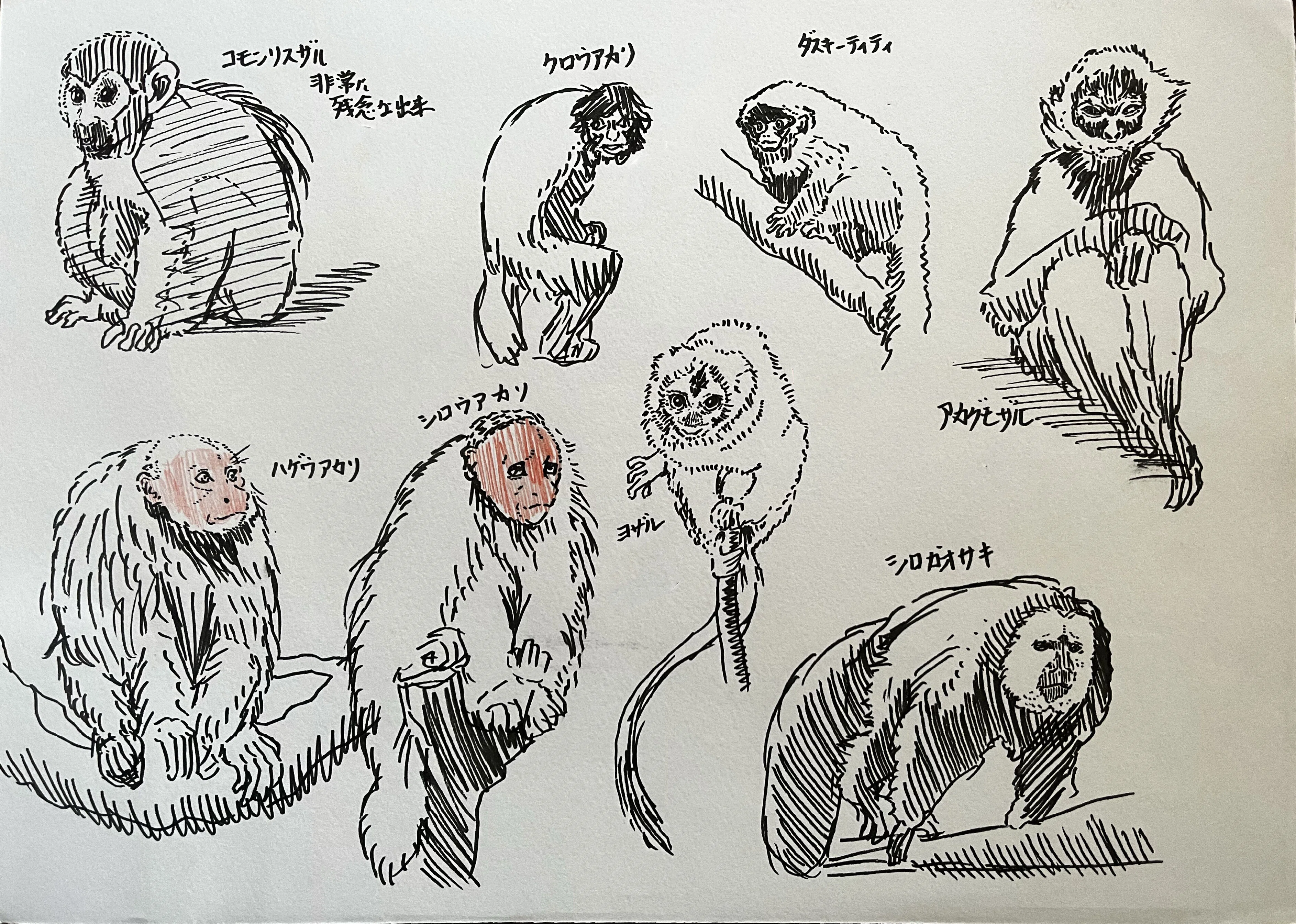 動物クロッキー10枚 【その4】｜鹿角時計