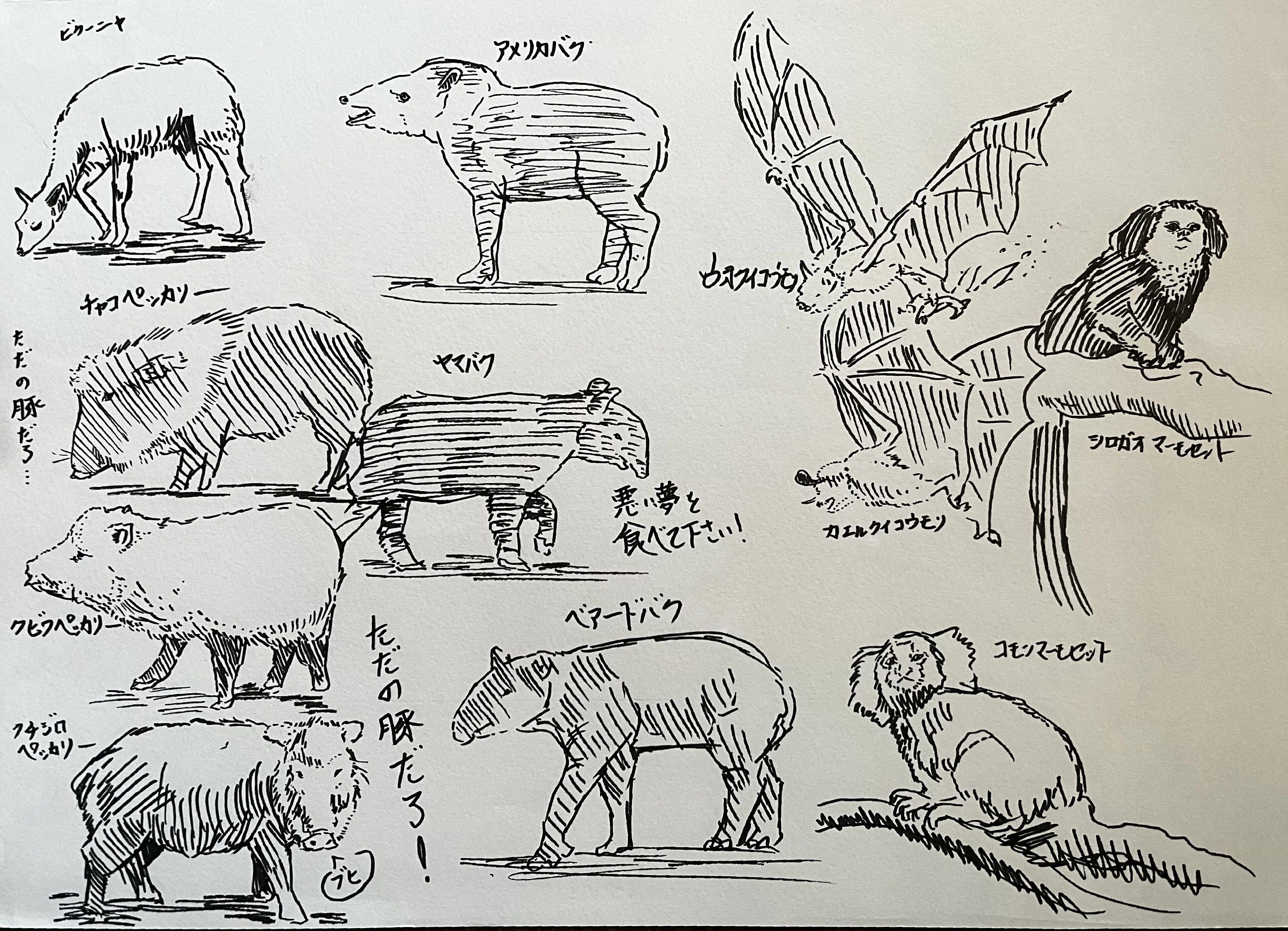 動物クロッキー10枚 【その4】｜鹿角時計