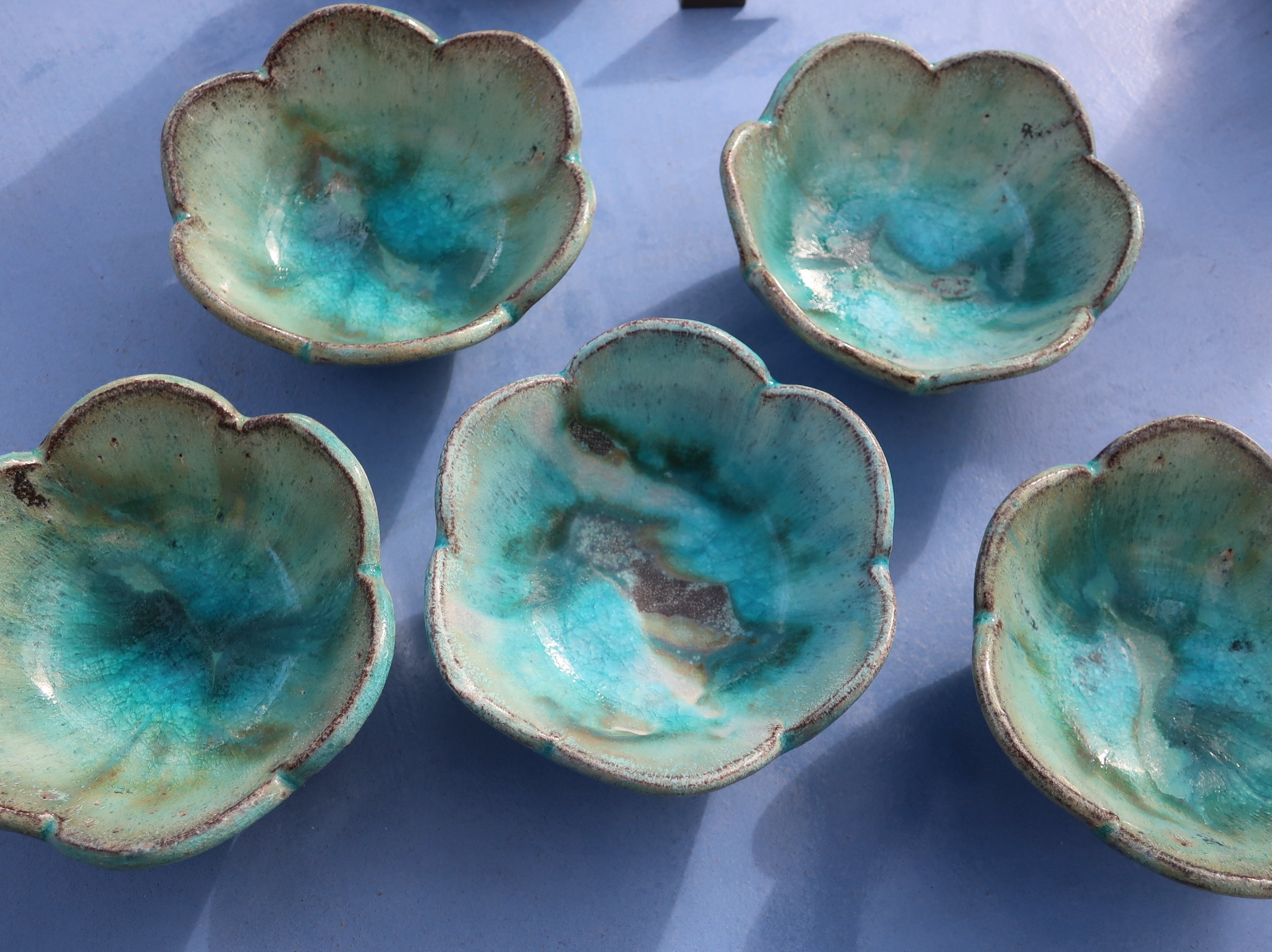 うみいろ器と干支せとら｜癒しのカラー、動物たちの表情に癒される