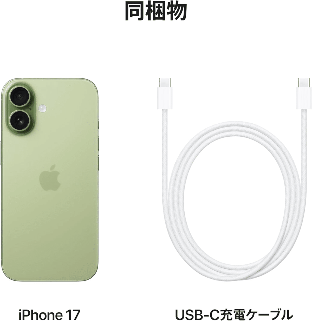 Apple iPhone 17 256GB セージグリーン 本体 Buy iPhone 17 256GB Sage Boost Mobile - Apple