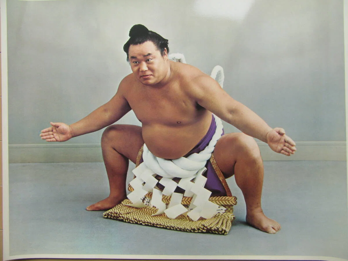 大相撲秋場所の千秋楽・横綱優勝決戦戦「大豊時代」の幕開け｜野猿（や
