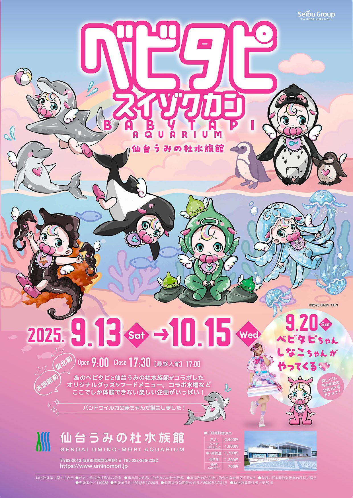 仙台うみの杜水族館】「ベビタピ」とのタイアップイベントで集客増