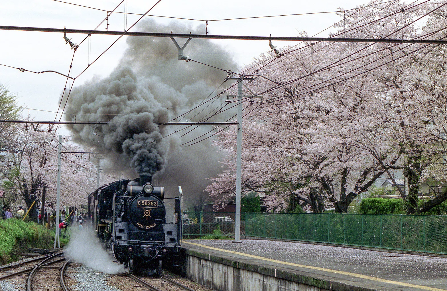 v102, 秩父鉄道：パレオエクスプレス-桜 （1991年）｜ひろやん