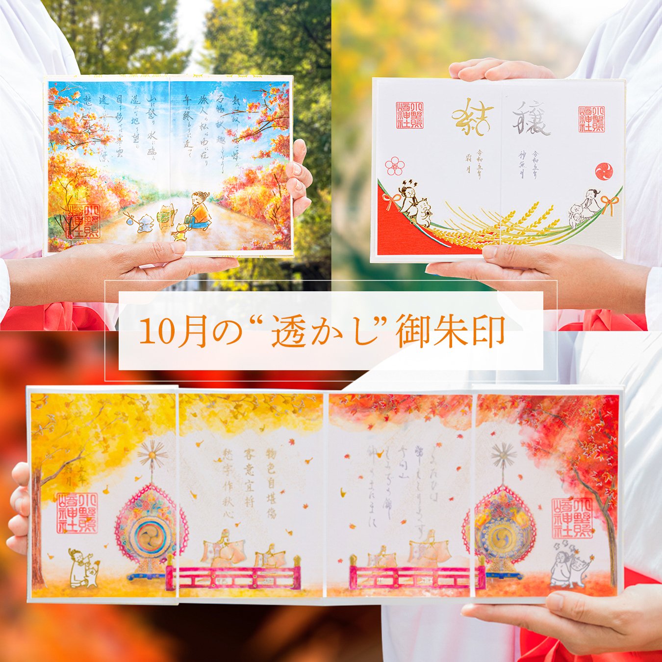 期間限定特価！ 朱印『光琳』 額付 菊の図 日本画◾️朱印『光琳』 菊