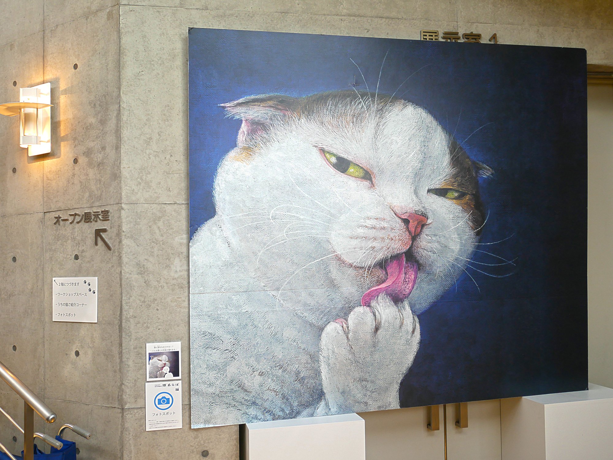 隙あらば猫』は猫好きにはたまらにゃい♪町田尚子さんの絵本原画