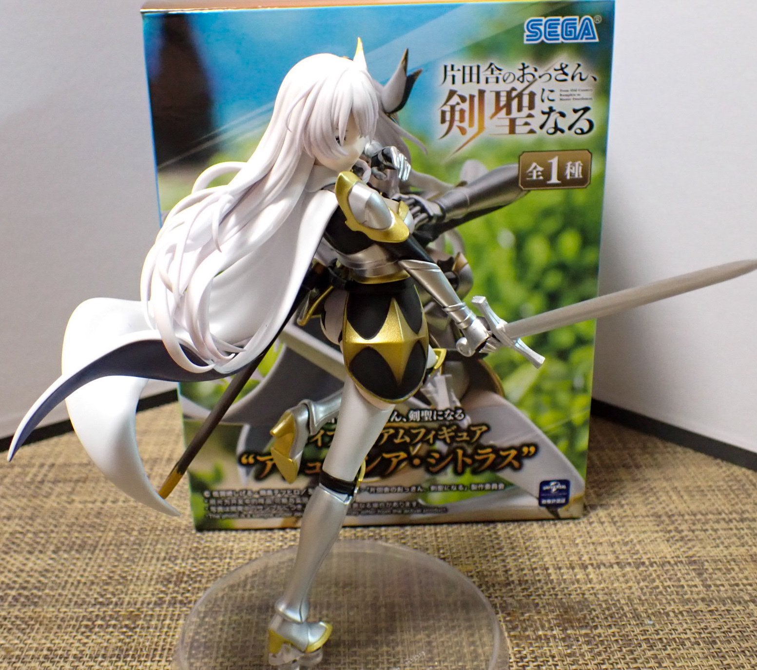 フィギュア アリューシャ・シトラス（片田舎のおっさん剣聖になる