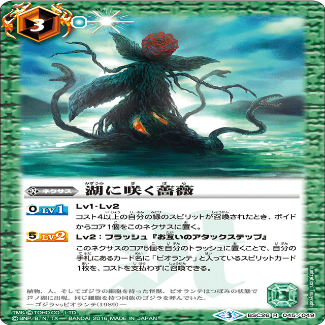 菌樹 ユム・カアシュ｜bakasa