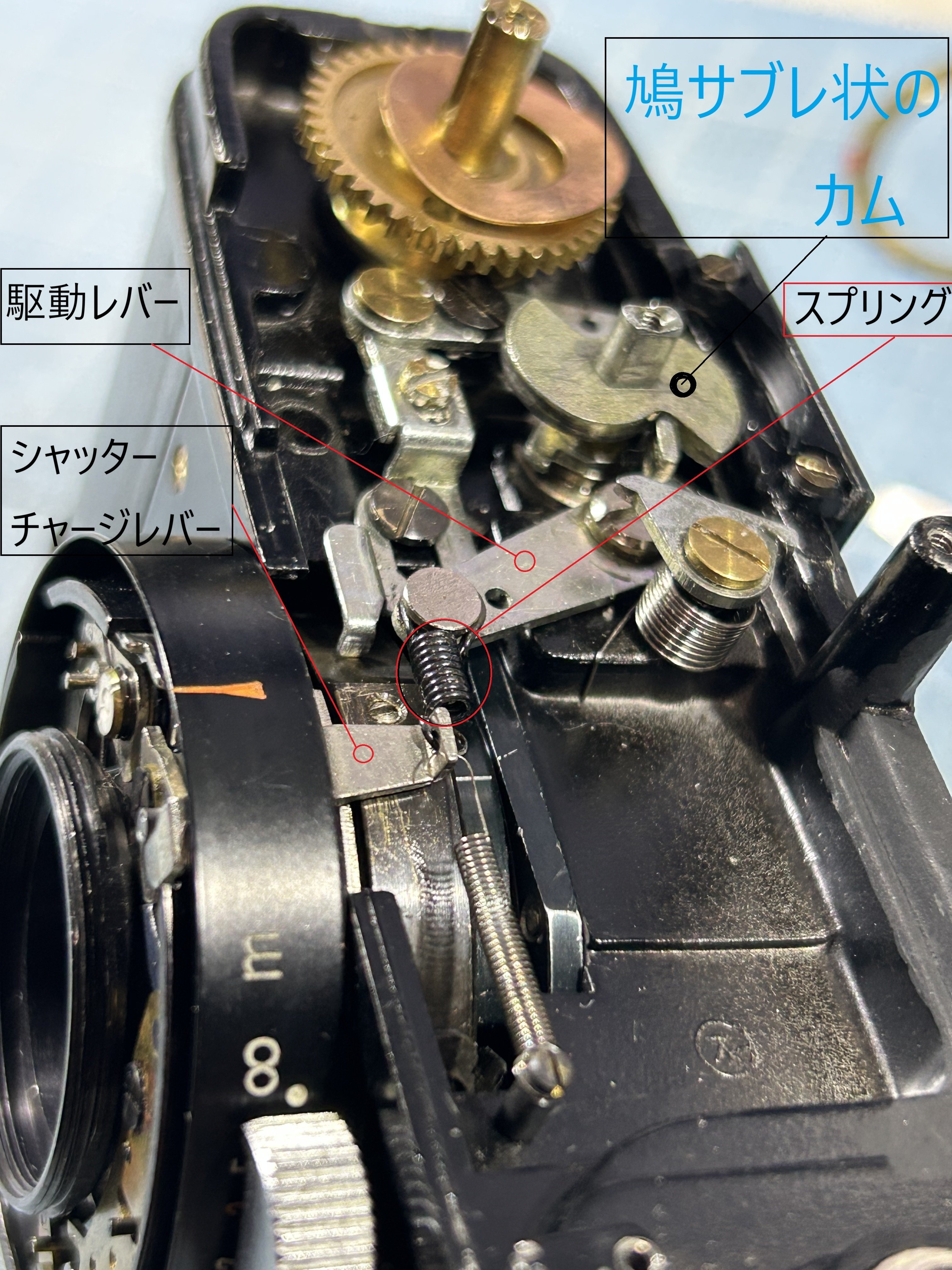 OLYMPUS PEN-Dのオーバーホール記｜Katsuhiro