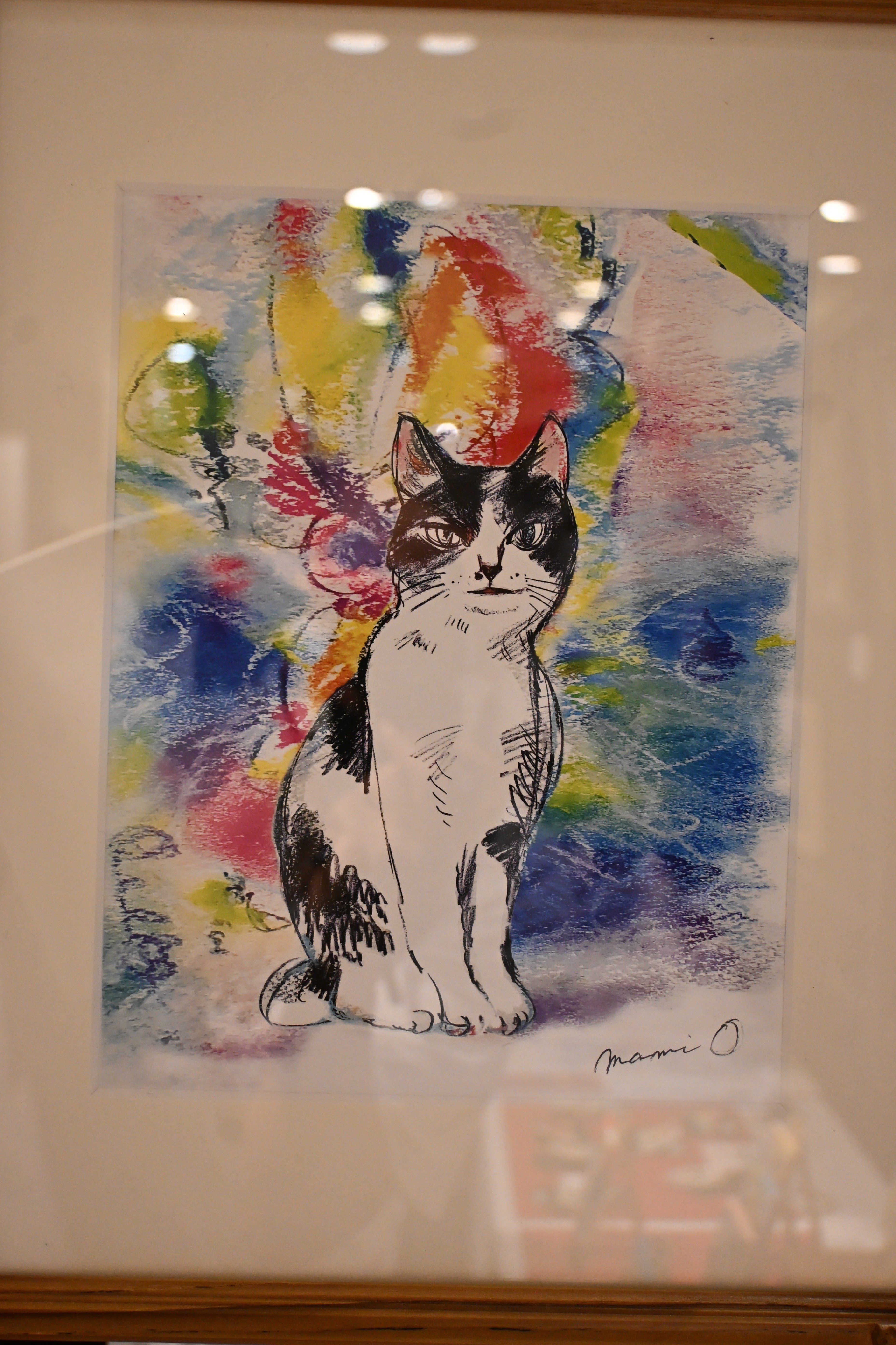 ネコフェスタin有楽町｜桑原亘之介