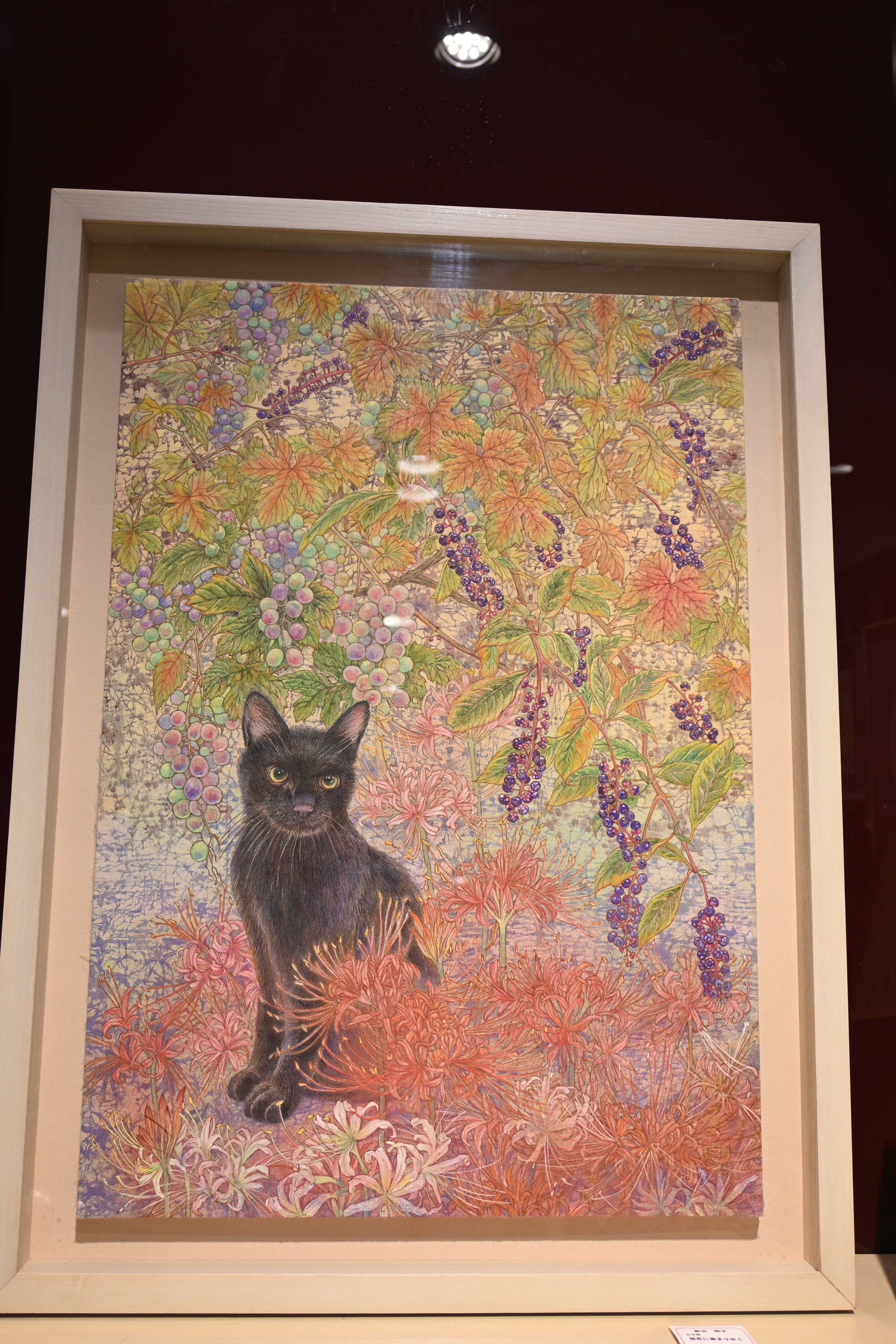 ネコフェスタin有楽町｜桑原亘之介