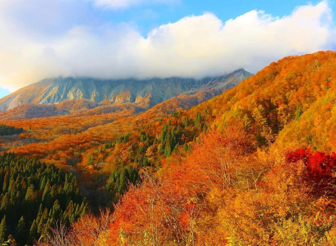 トマシバ発！車で行ける山陰ぐるぐる旅案内！～大山紅葉編～｜トマシバ