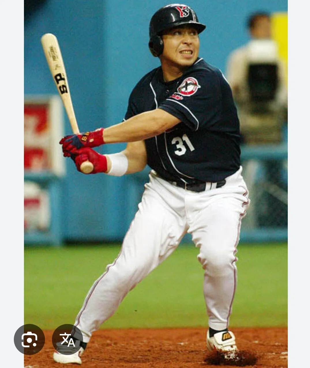 東京ヤクルトスワローズ 真中満 ユニフォーム 上下セット 31 東京ヤクルトスワローズ 真中満 ユニフォーム 上下セット 31 【正規