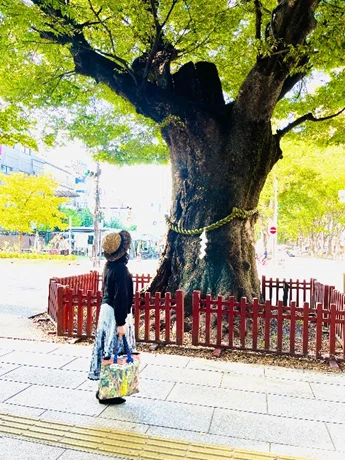 物語はどんなものからでも生まれる～少女小説の名手・名木田恵子さん