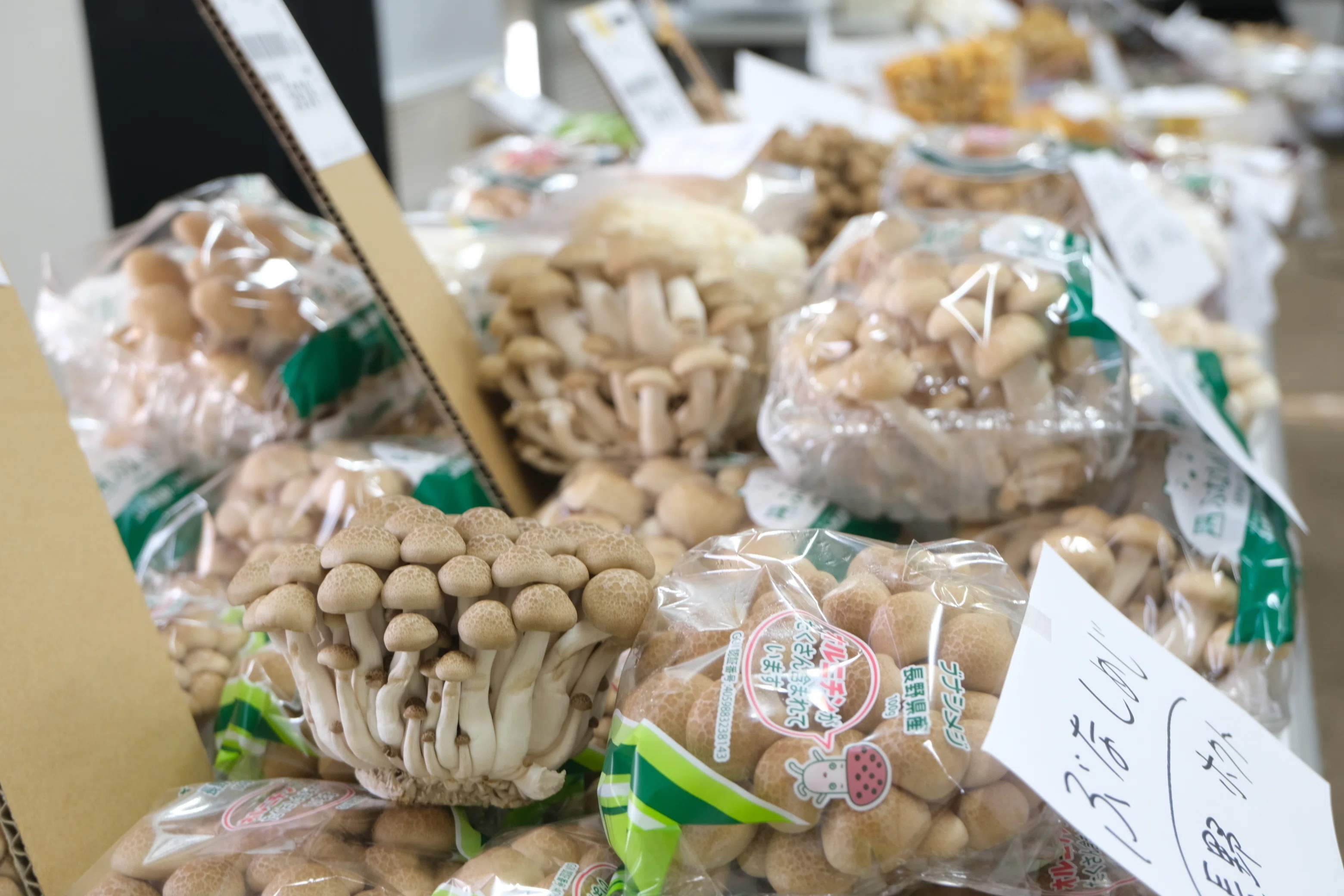 岩手県産 乾燥 香茸 100g 2025年採取 ④
