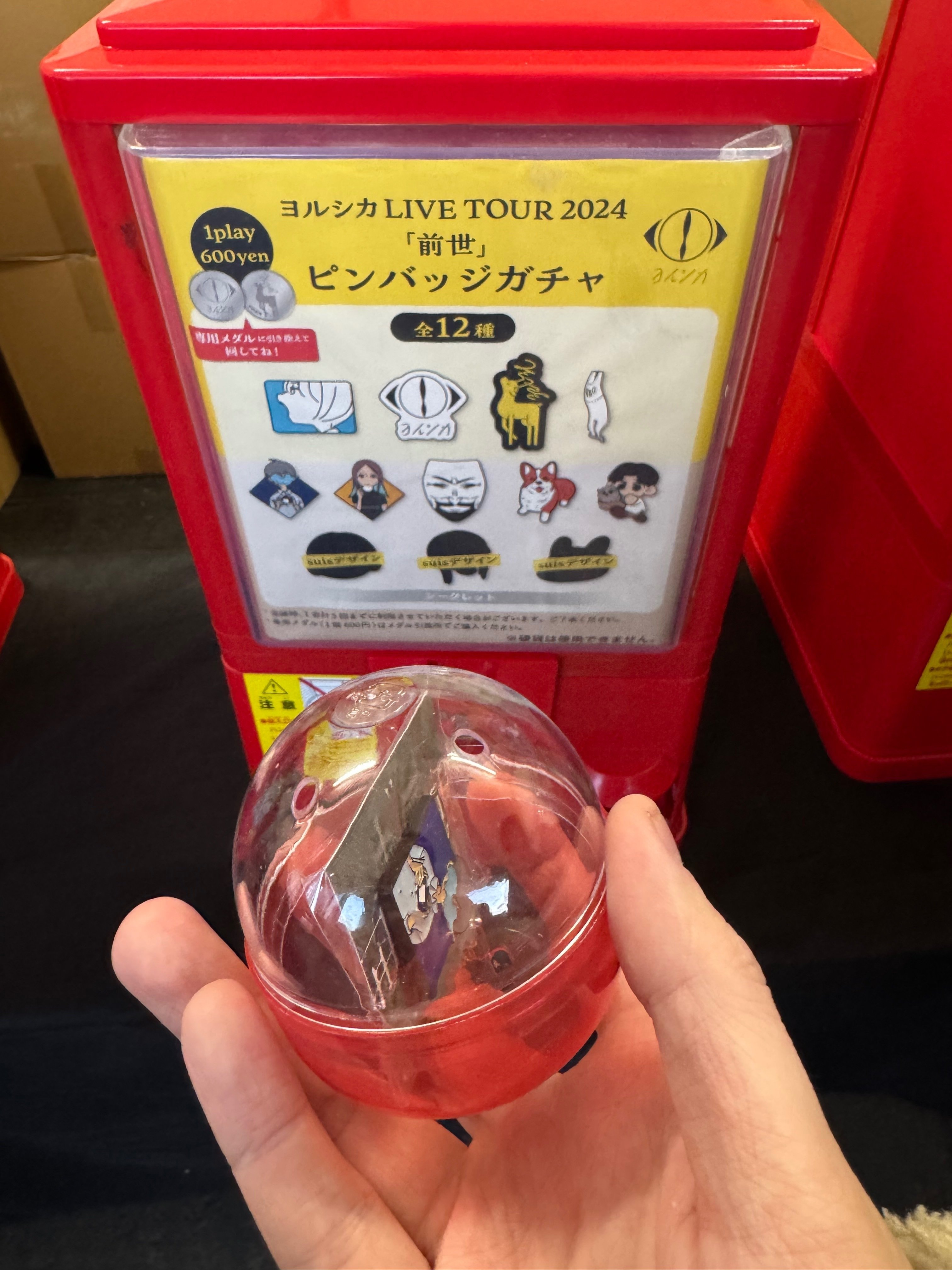 明日はヨルシカのライブ｜mas