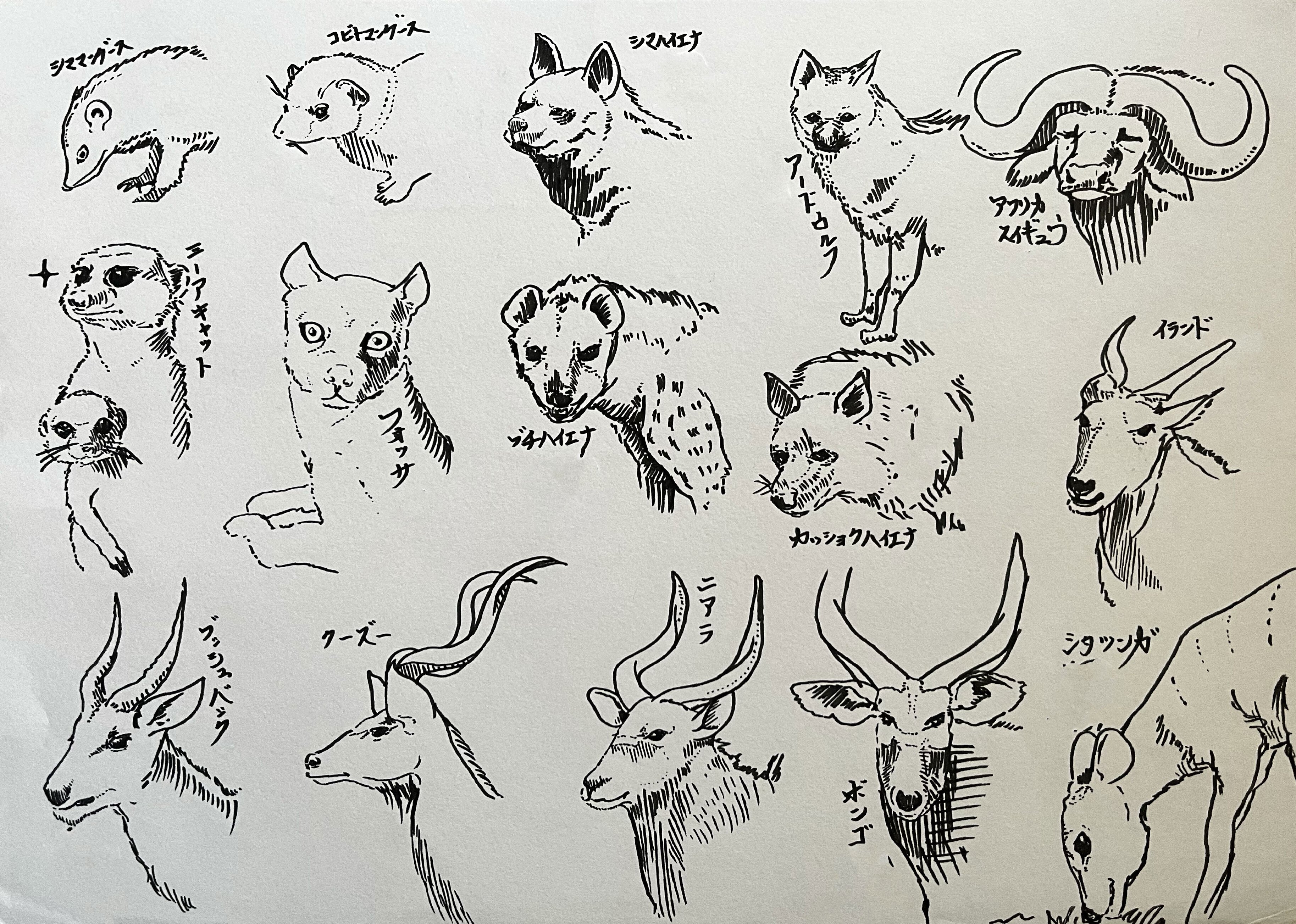 動物クロッキー12枚 【その5】｜鹿角時計