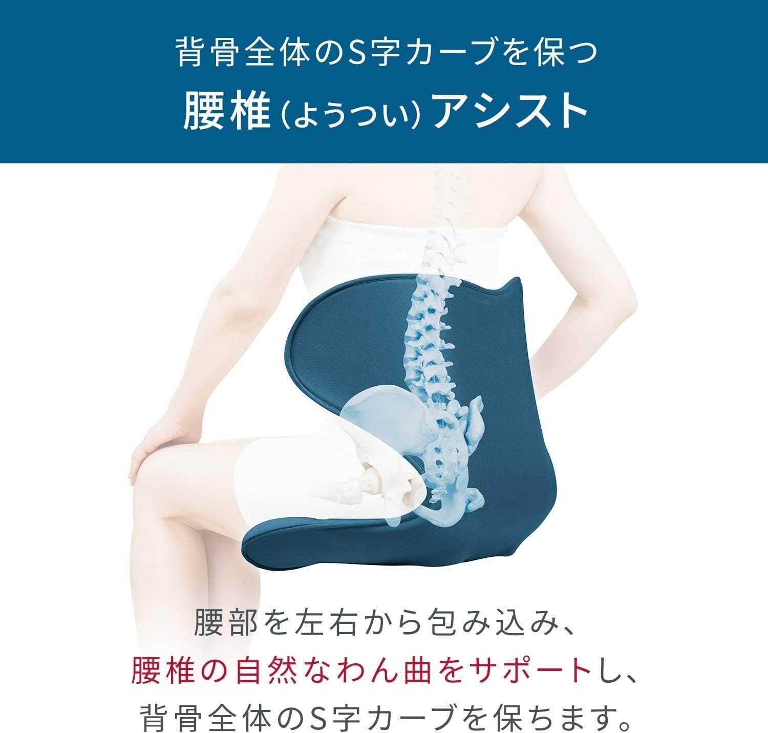 style MTG 骨盤サポートチェア Amazon.co.jp: スタイル プレミアム シリーズ/Style PREMIUM