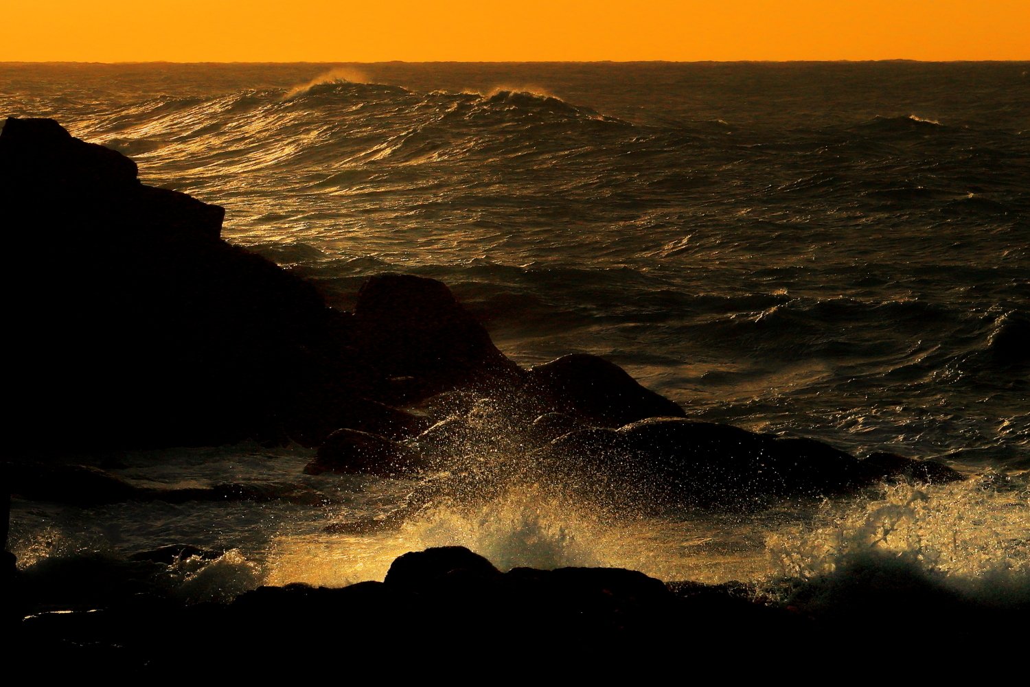 続・振り向けば日本海｜北野武男