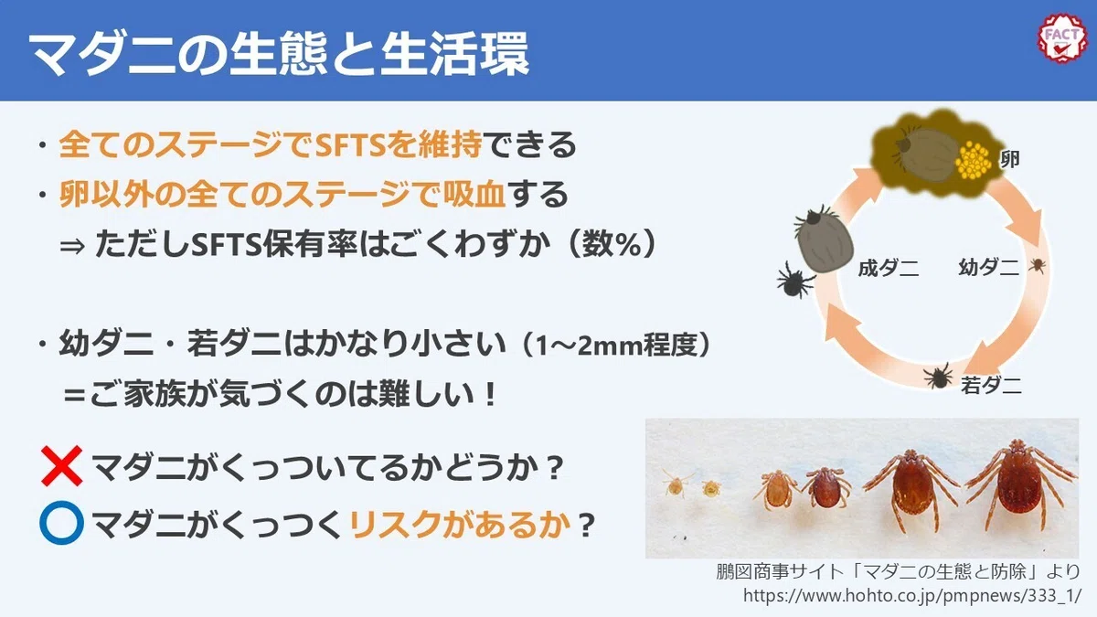 動物医療目線のSFTSセミナー再現9（最終回）：マダニと予防と｜やました動物病院