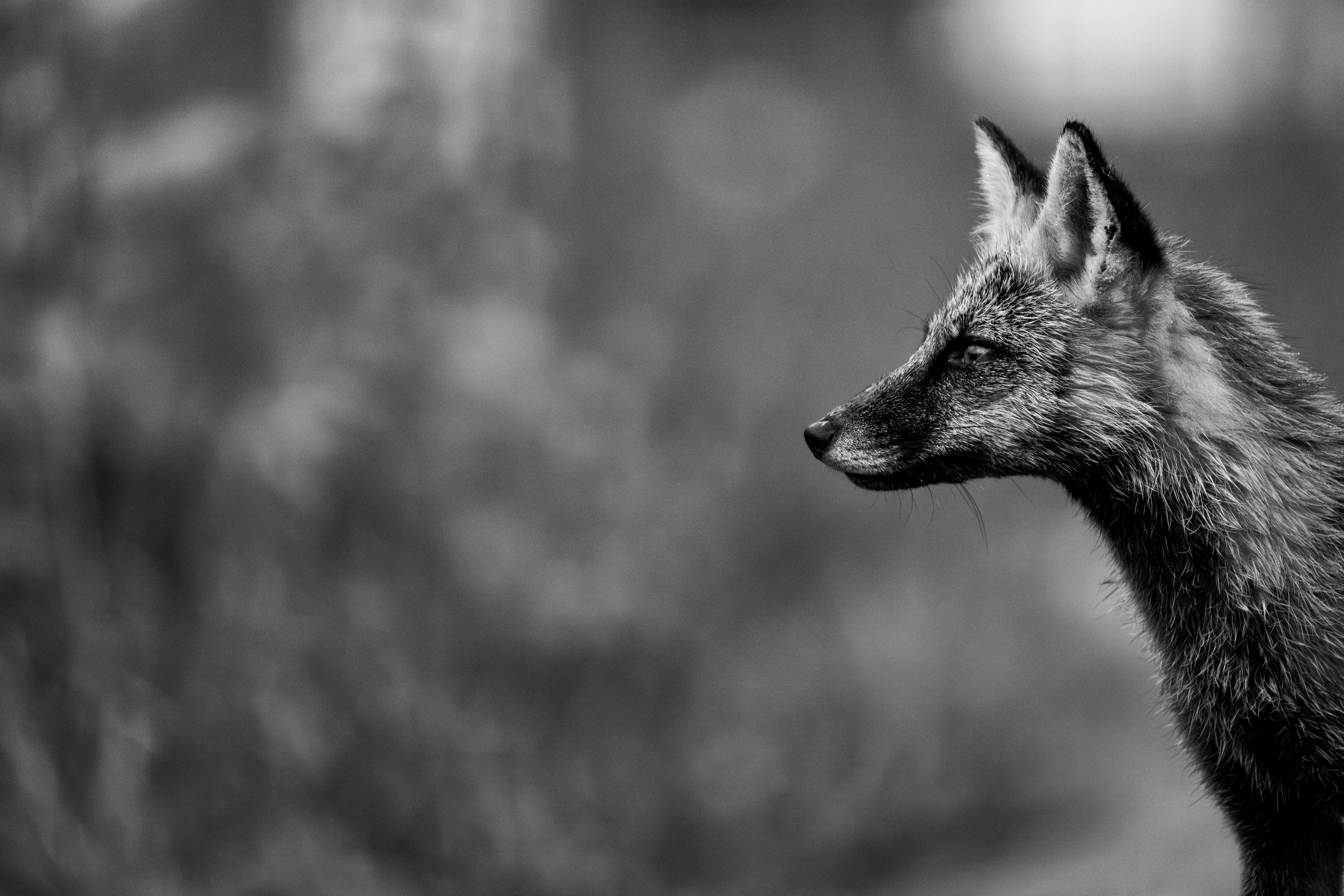 9月に撮った写真｜Lateral Lab.