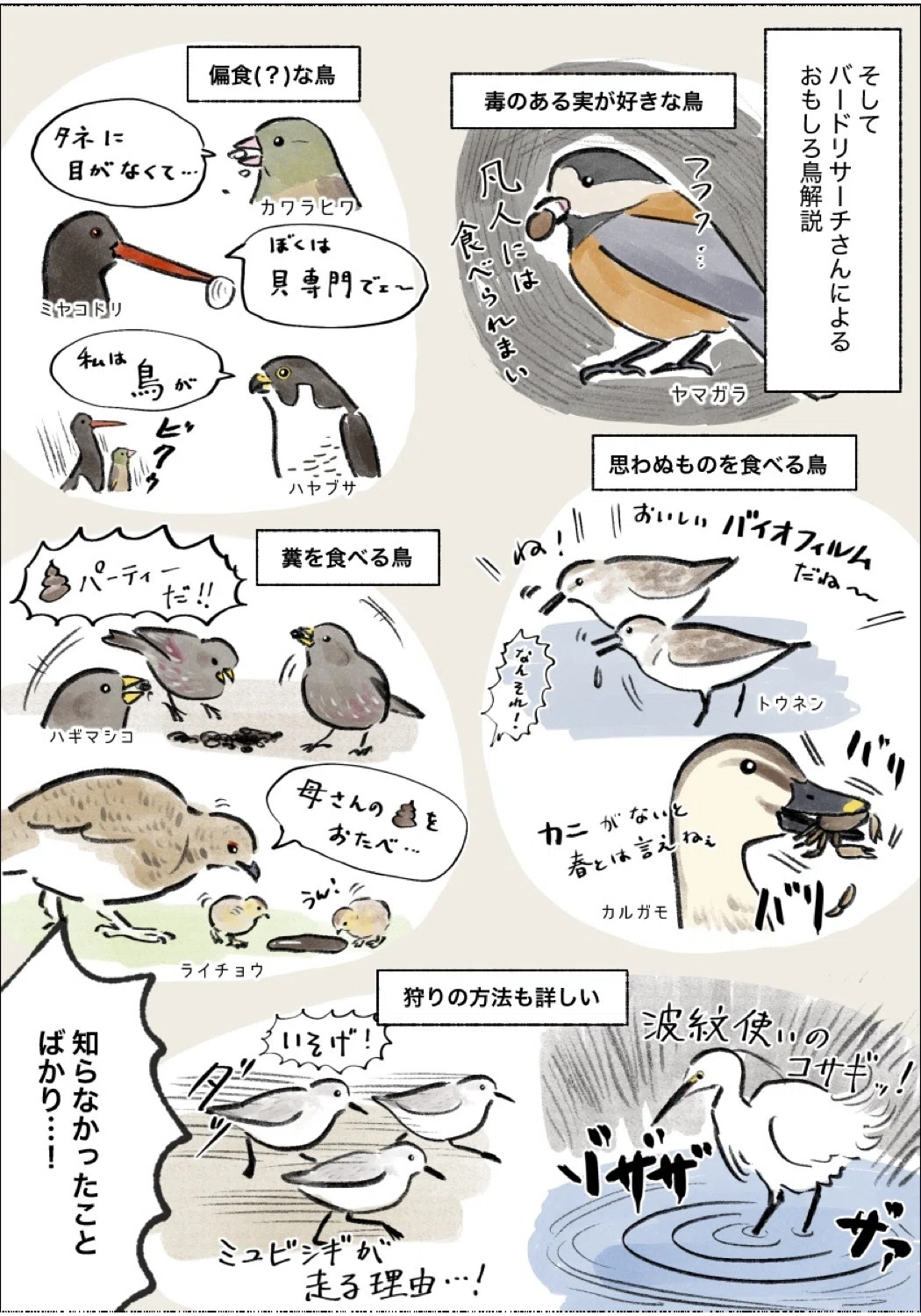 野鳥の「食事」を紹介する本が出ました｜ヤマケイの本