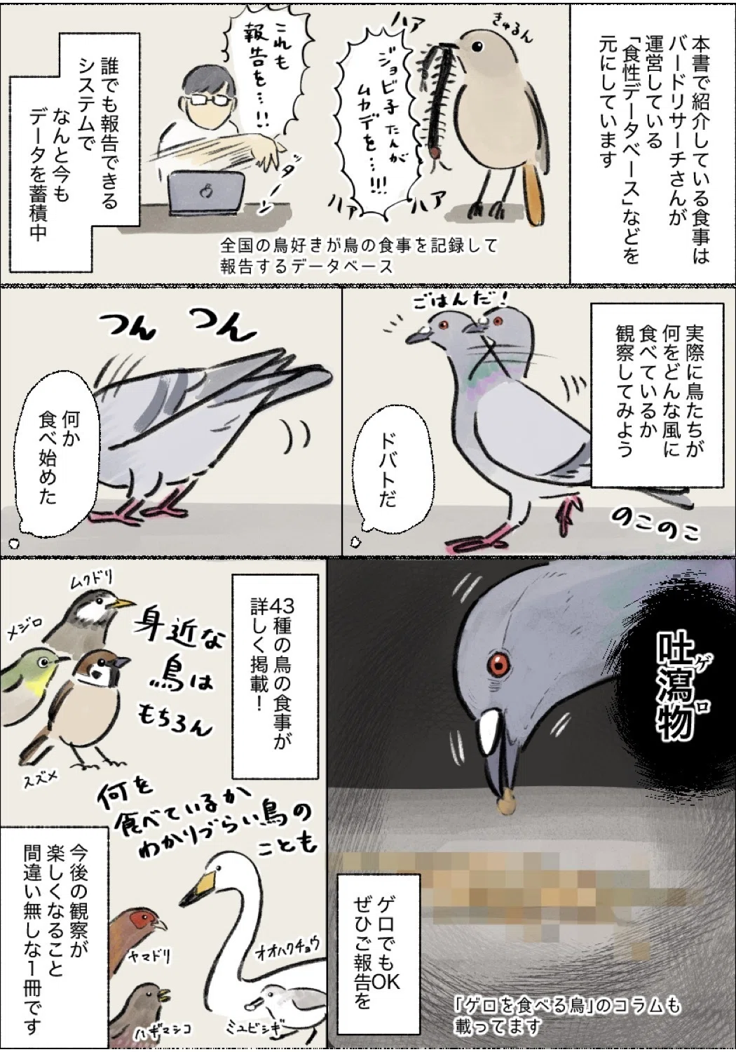 野鳥の「食事」を紹介する本が出ました｜ヤマケイの本