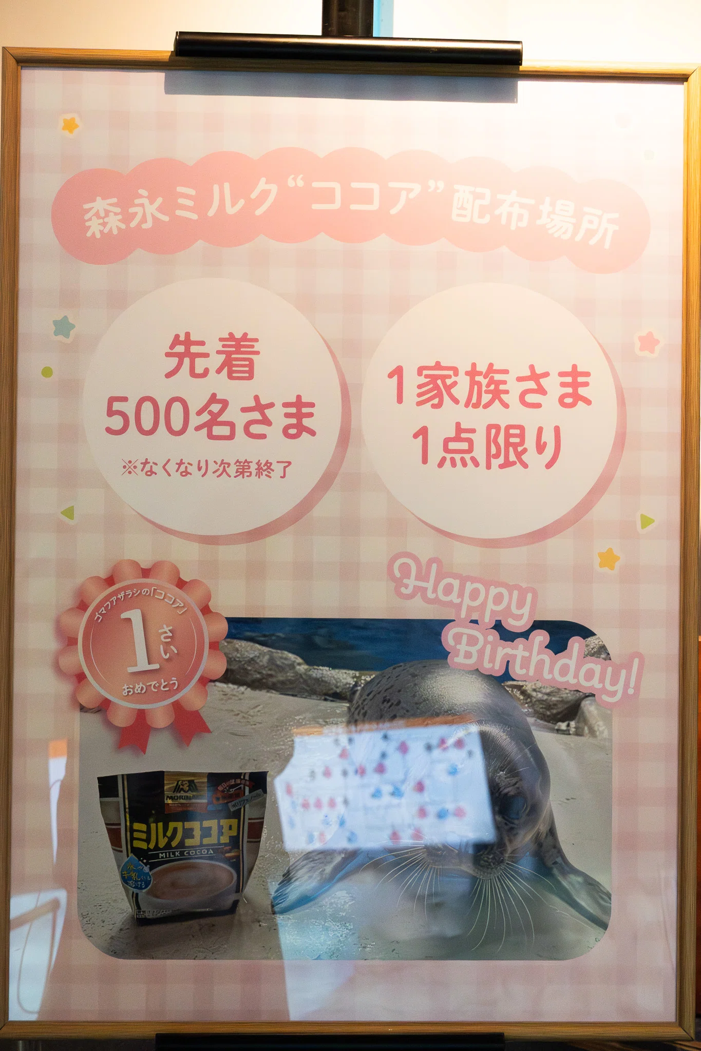 ココアページ 江の島のアイドル・ココアちゃんの誕生日祝ってきた｜ヒロサキ