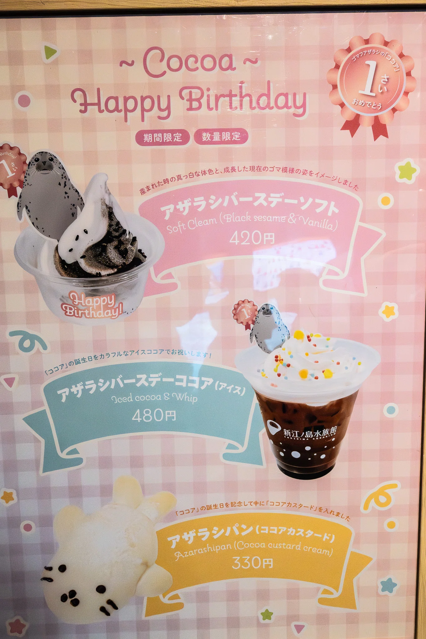江の島のアイドル・ココアちゃんの誕生日祝ってきた｜ヒロサキ
