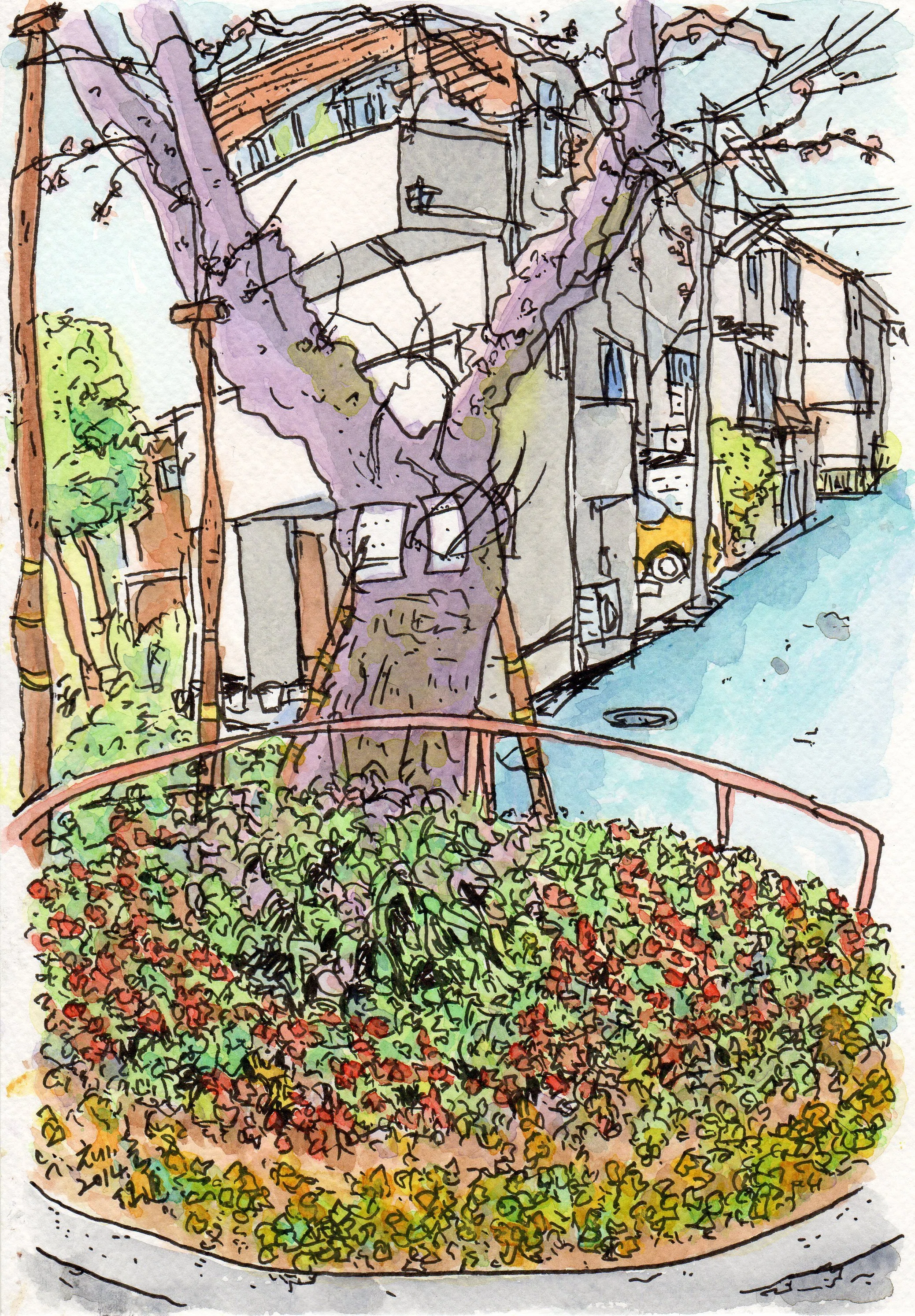 私のスケッチポイント／作品紹介あれこれ＞世田谷区・烏山緑道の桜