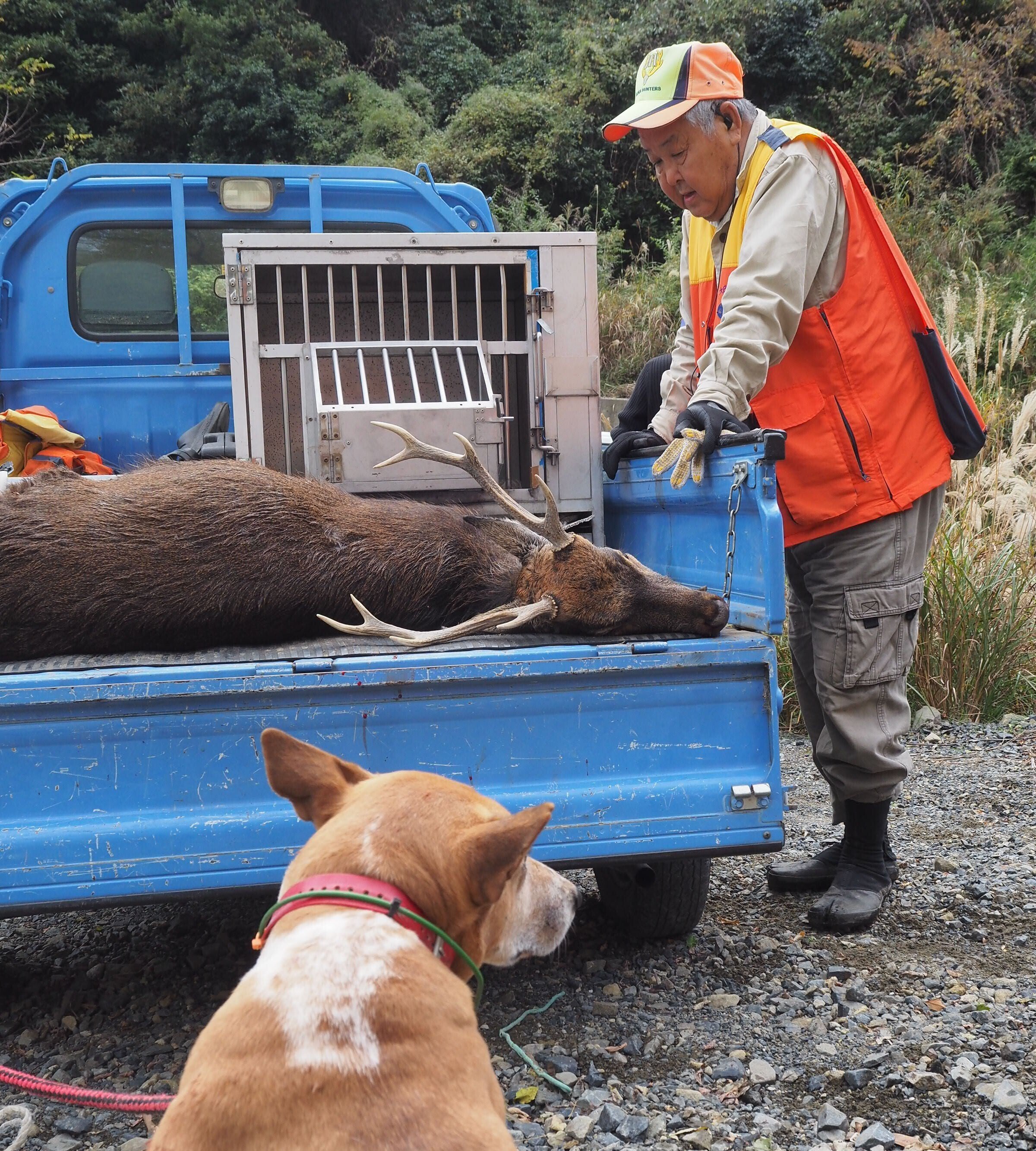 生活のためにクマを撃つ」岐阜県郡上市に本物のマタギがいた｜中山道雄