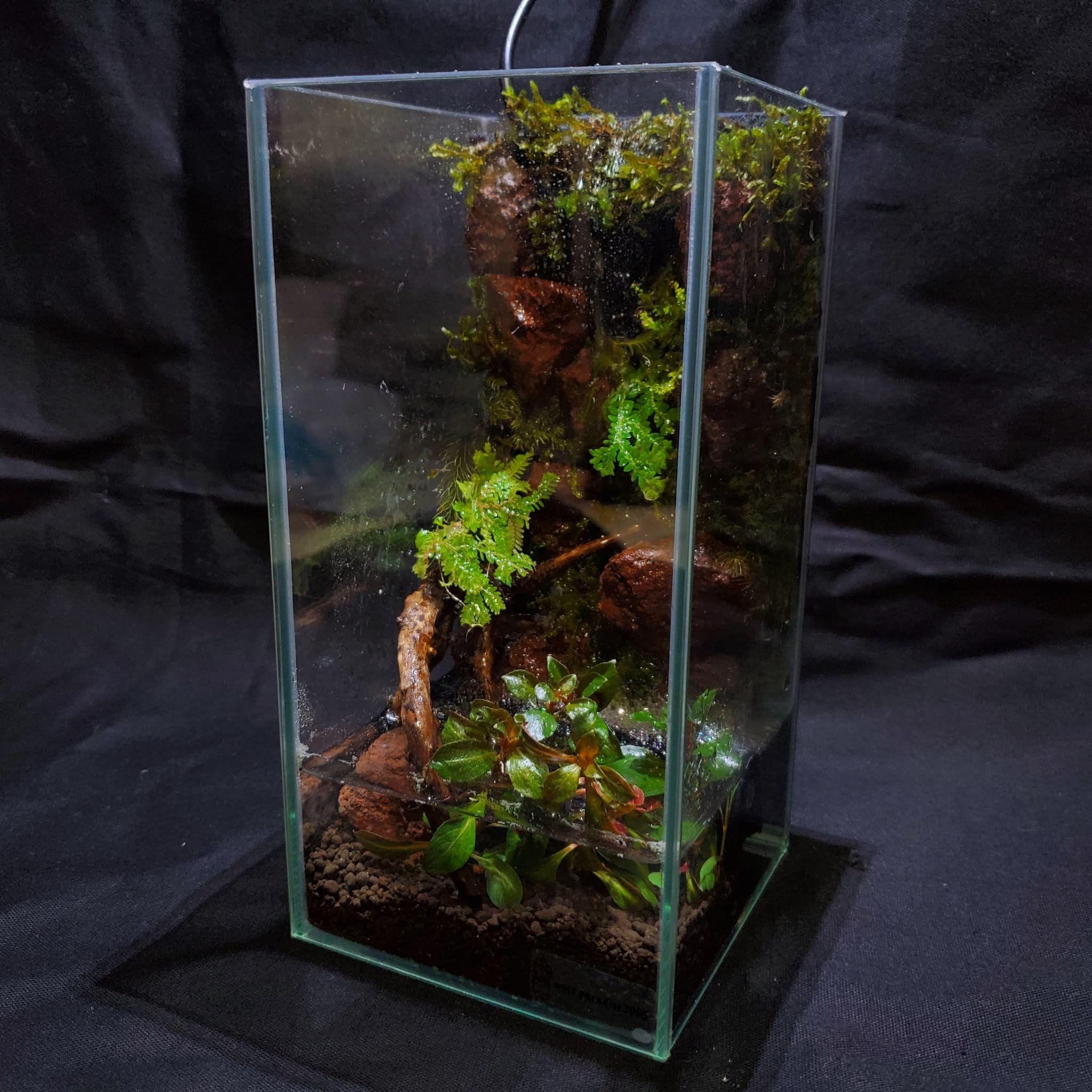 小さな滝の苔テラリウムを作ったよ｜moss paradise3055（モスパラ）