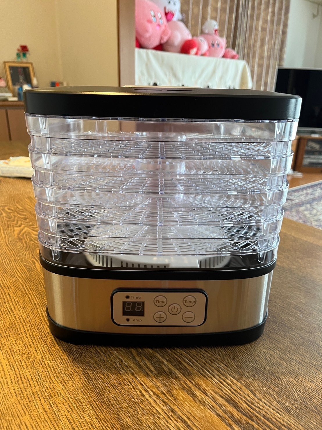 ビーフジャーキーをつくってみました。｜はなこ@未来