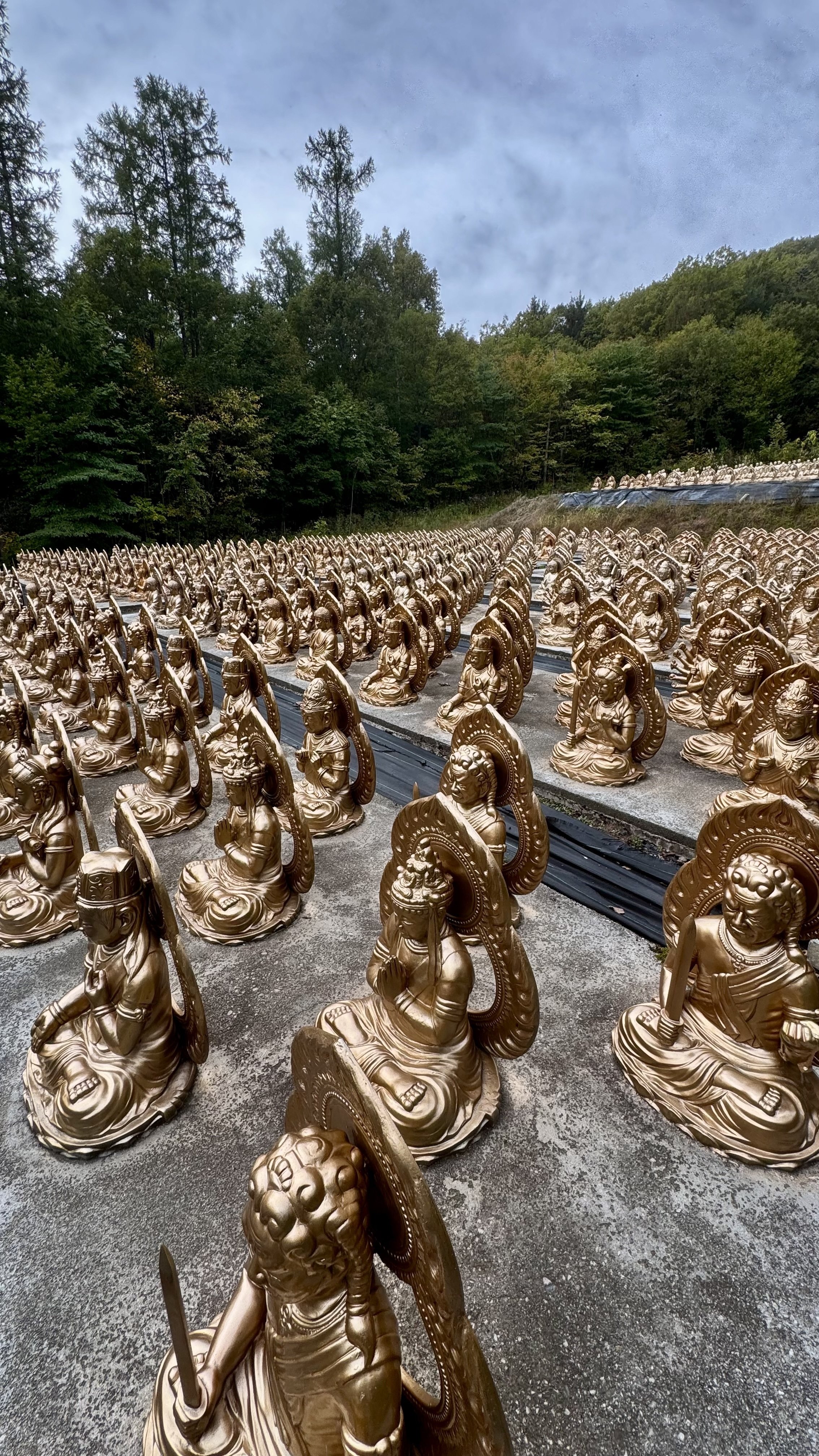 探偵file.No.019 山中に眠る謎の仏像群を探訪する｜八千代探偵事務所