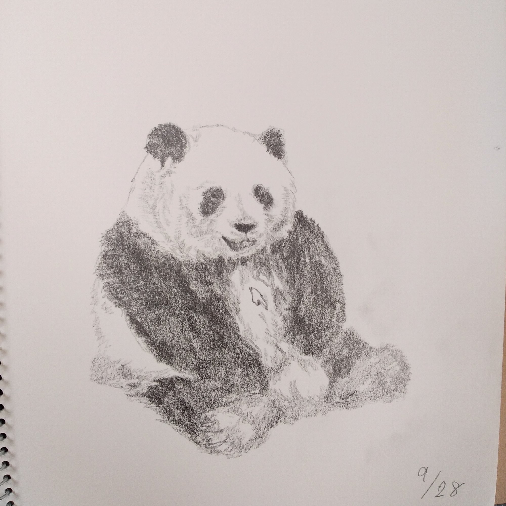 パンダデッサン練習第23週 9/28-10/4｜こひろ@こぎん刺しのテディベア作家kogin＊bear style, image size:1894x2000