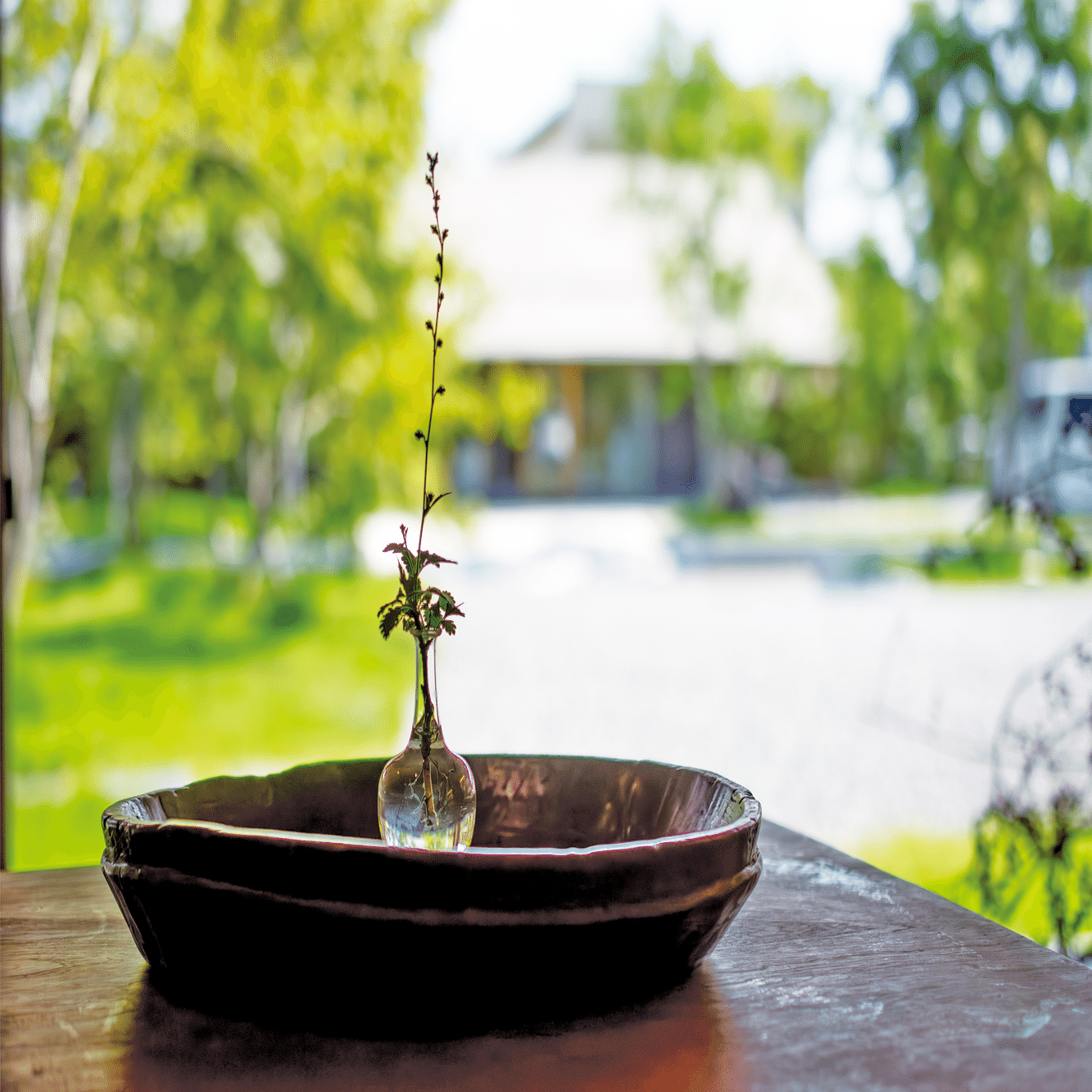 花匠・佐々木直喜さんが手がける「空間を楽しむ」花苑【菰野町】｜み