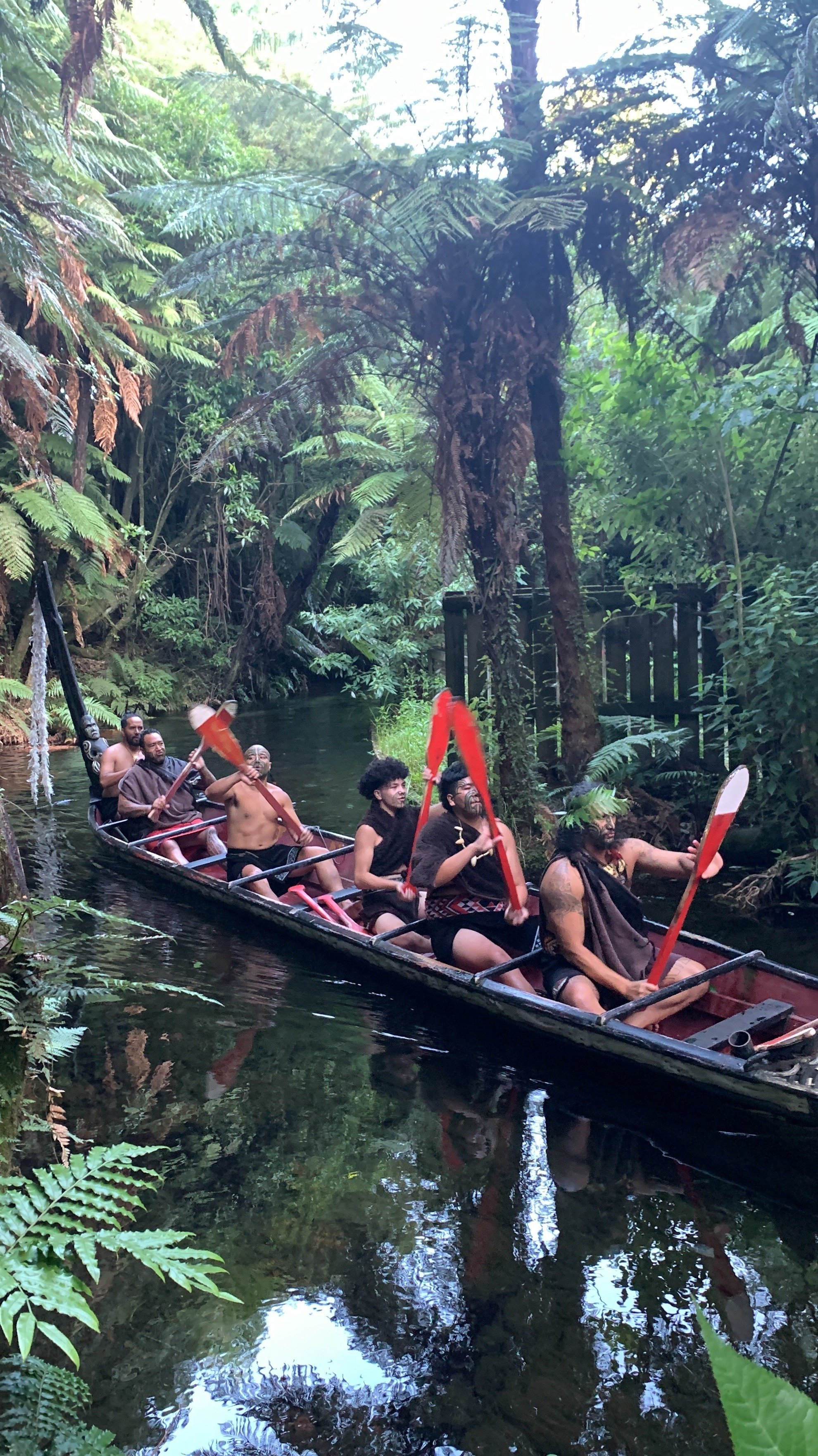 ニュージーランド旅のススメ＃6🇳🇿（旅行記）｜amo_心を動かす旅日記🌼