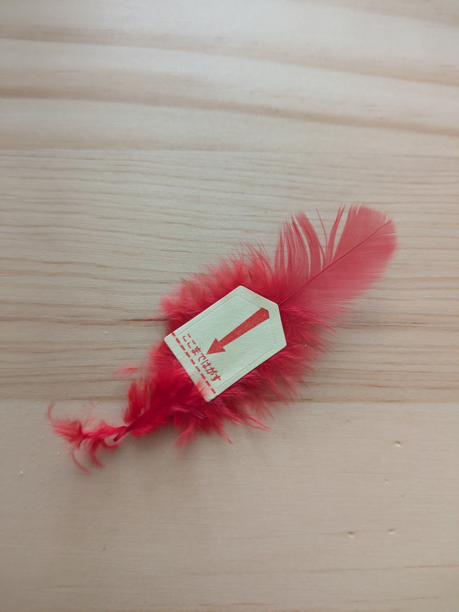 赤い羽根　シール式　1本 赤い羽根募金の羽根がいつのまにかシール式になっていたよ｜水島素良