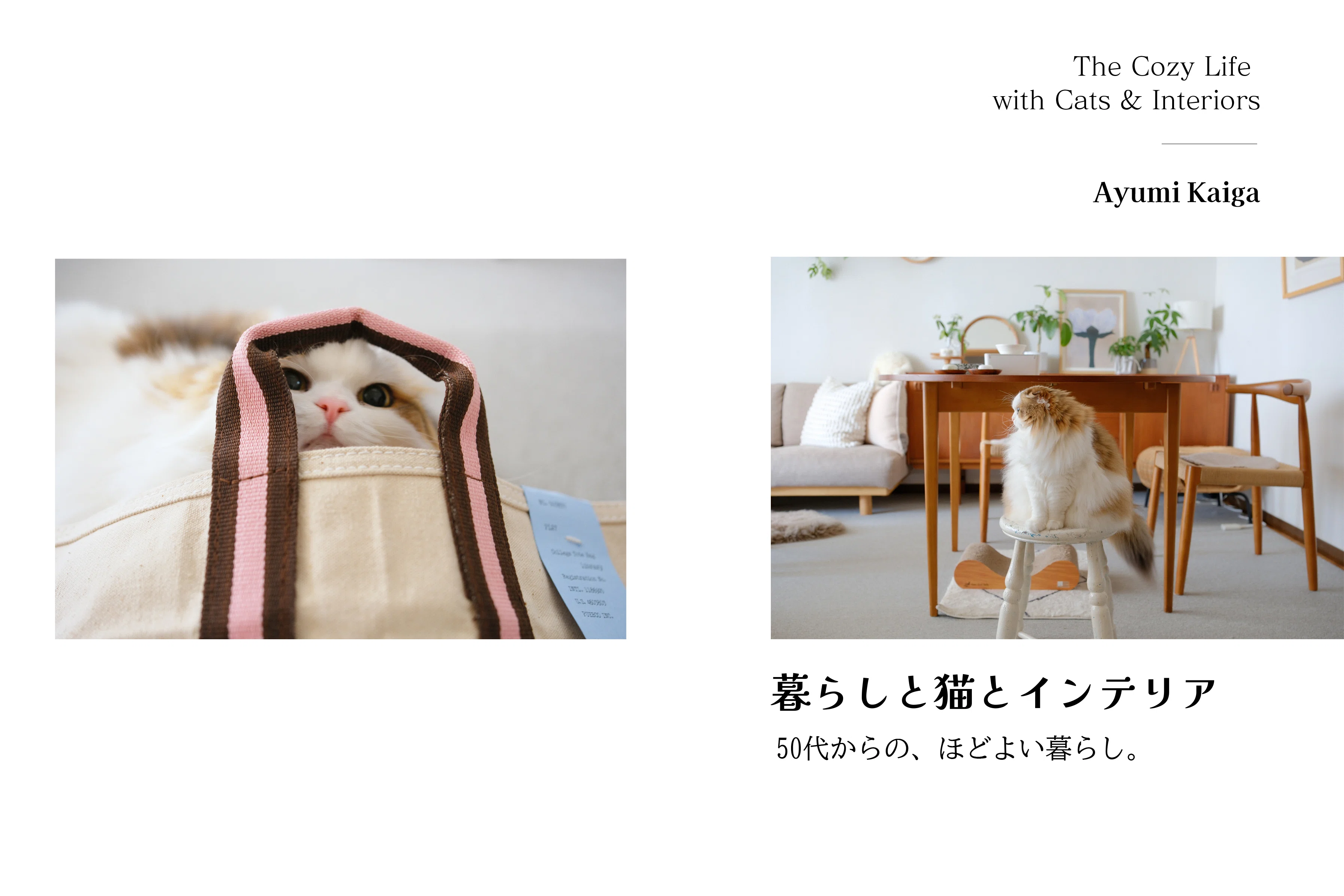 ZINE完成｜成し遂げるために効果的だったこと｜あゆみ｜50代からの