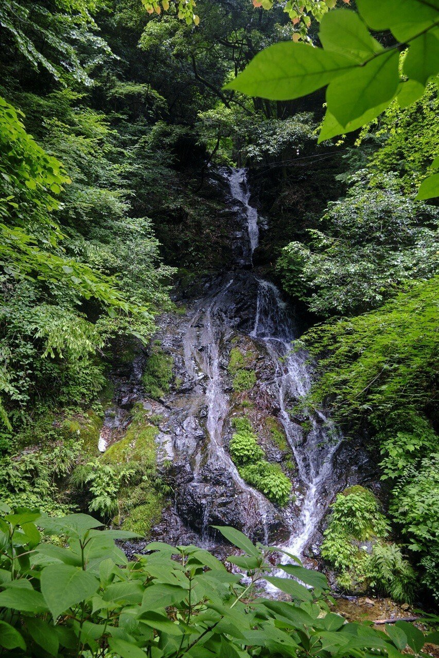 カブ旅】オフロード感あふれる林道と白岩の滝 FUJIFILM X-T30II