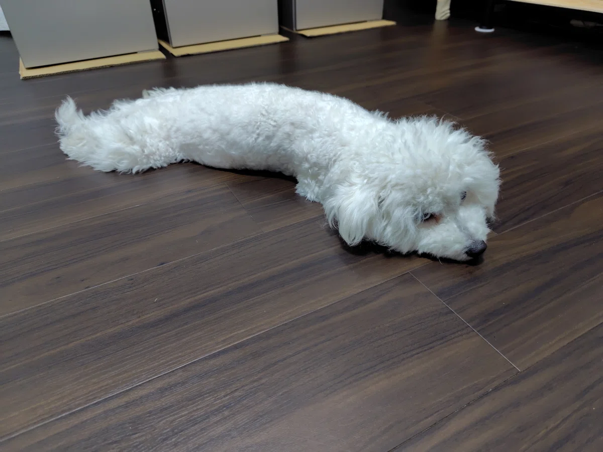 みんなで大家さんは\(^o^)/|ももあき