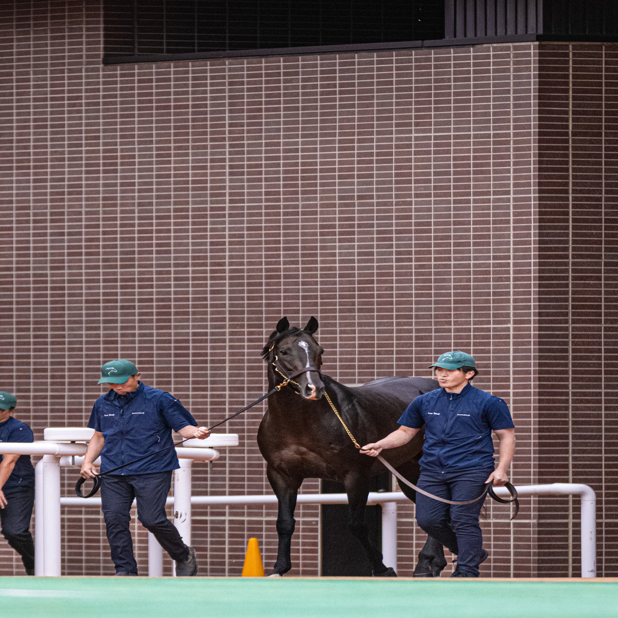 タイトルホルダーに会いに札幌へ行った話 ｜たらいまわし