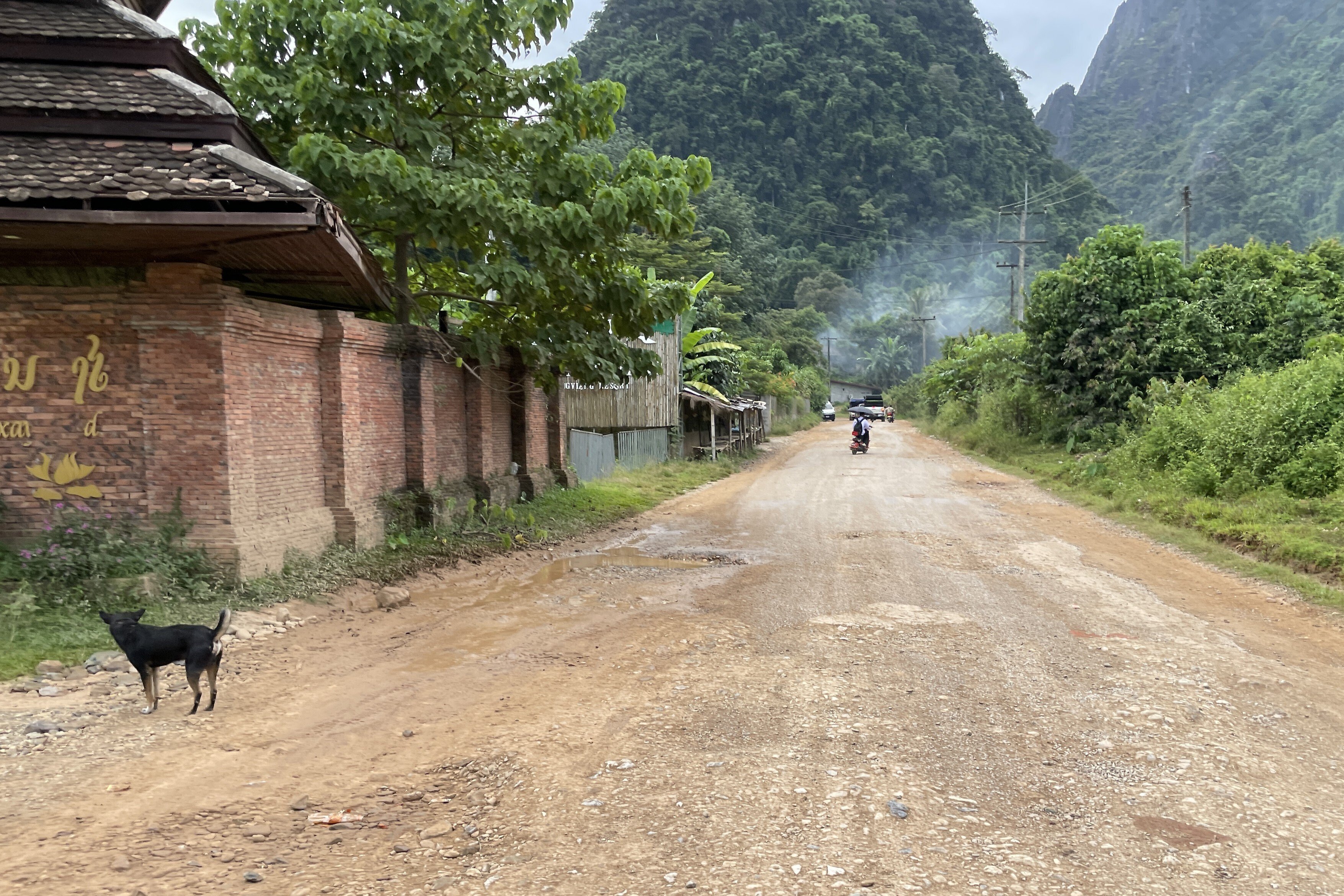 頑張りすぎないラオスには、今を生きる高校生に伝えたい世界観がある